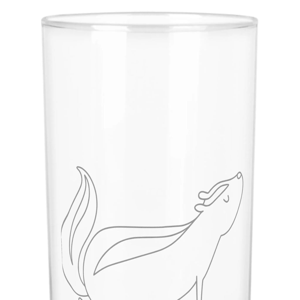 Water Glass skunk yoga Skunk, Live, Predator, Stinky, Namaste, Laugh, Wild animal, Love, Stinker, Yoga