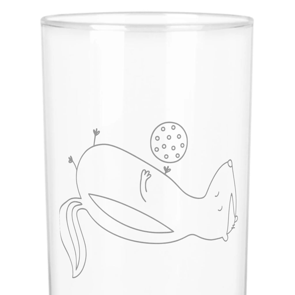 Water Glass skunk ball Skunk, wisdom, stinker, skunk, stinky, predator, playful, wild animal
