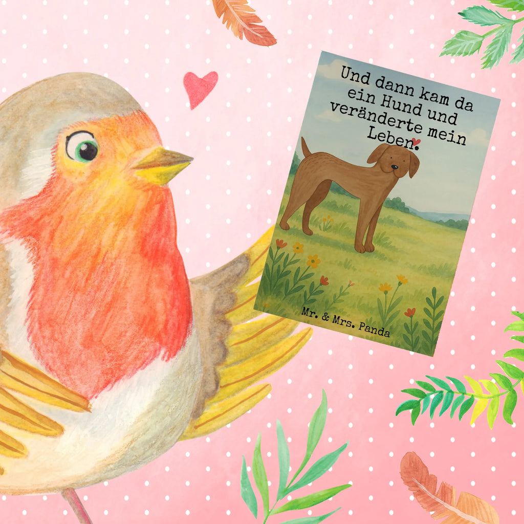 Grußkarte Hund Dogge Design Grußkarte, Klappkarte, Einladungskarte, Glückwunschkarte, Hochzeitskarte, Geburtstagskarte, Karte, Ansichtskarten, Hund, Hundemotiv, Haustier, Hunderasse, Tierliebhaber, Hundebesitzer, Sprüche, Hunde, Dogge, Deutsche Dogge, Great Dane