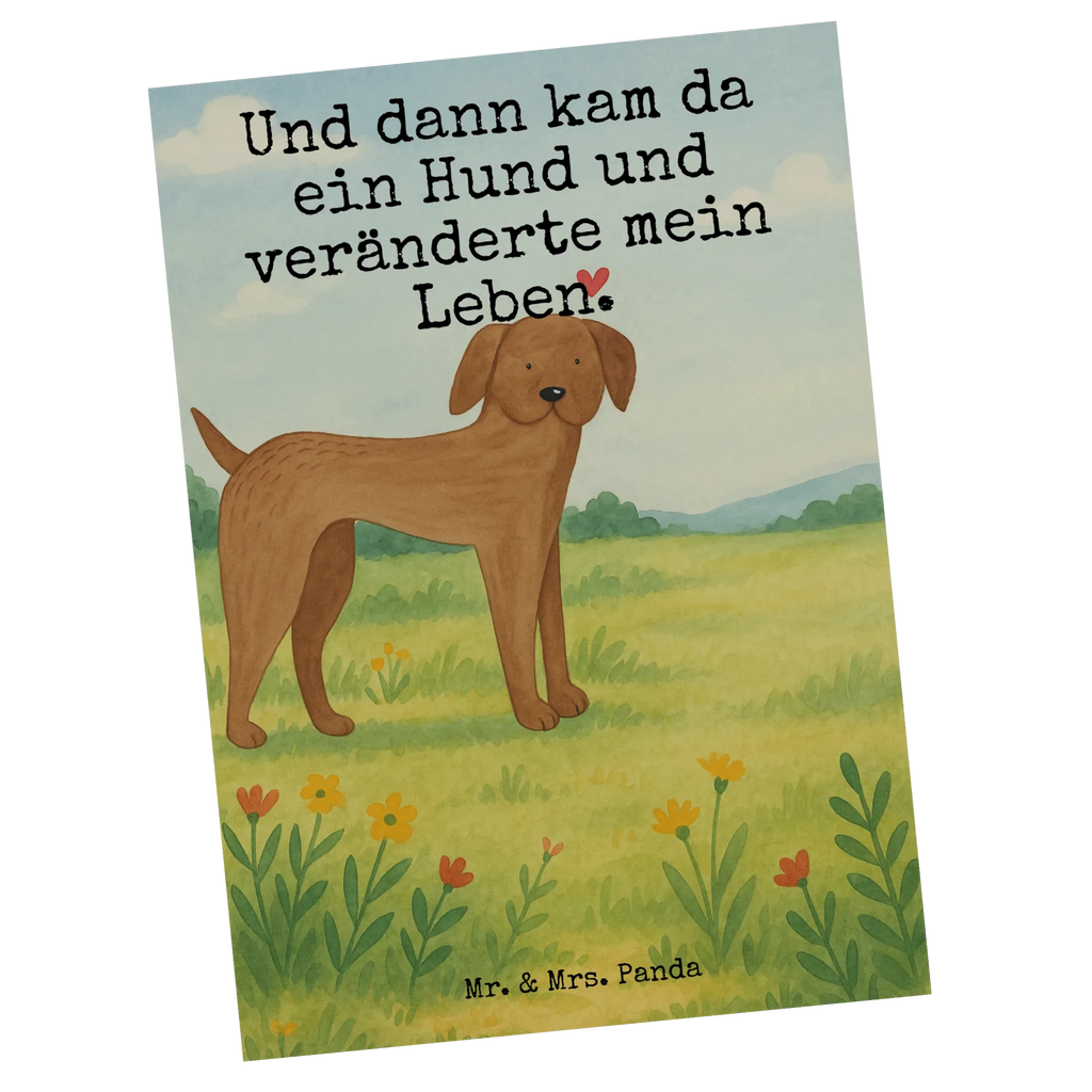 Postkarte Hund Dogge Design Postkarte, Karte, Geschenkkarte, Grußkarte, Einladung, Ansichtskarte, Geburtstagskarte, Einladungskarte, Dankeskarte, Ansichtskarten, Einladung Geburtstag, Einladungskarten Geburtstag, Hund, Hundemotiv, Haustier, Hunderasse, Tierliebhaber, Hundebesitzer, Sprüche, Hunde, Dogge, Deutsche Dogge, Great Dane