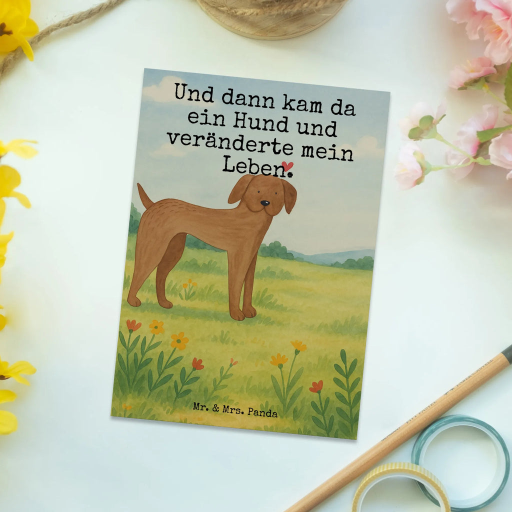 Postkarte Hund Dogge Design Postkarte, Karte, Geschenkkarte, Grußkarte, Einladung, Ansichtskarte, Geburtstagskarte, Einladungskarte, Dankeskarte, Ansichtskarten, Einladung Geburtstag, Einladungskarten Geburtstag, Hund, Hundemotiv, Haustier, Hunderasse, Tierliebhaber, Hundebesitzer, Sprüche, Hunde, Dogge, Deutsche Dogge, Great Dane
