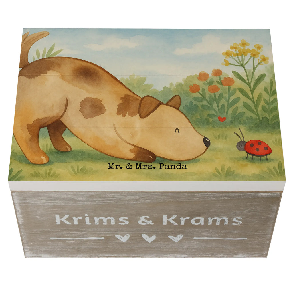 Holzkiste Hund Marienkäfer Design Geschenkbox, Kiste, Schatulle, Truhe, Schatzkiste, XXL, Holzkiste, Geschenkdose, Aufbewahrungsbox, Dekokiste, Erinnerungskiste, Erinnerungsbox, Hund, Hundemotiv, Haustier, Hunderasse, Tierliebhaber, Hundebesitzer, Sprüche, Hunde, Hundespruch, Mischlinghund, Mischling, Marienkäfer