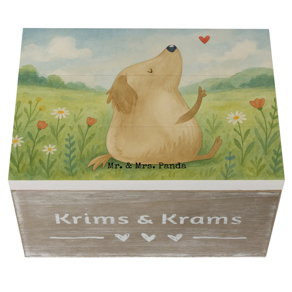 Skrzynia drewniana Pies miłość Design Erinnerungskiste, Kiste, Schatulle, XXL, Schatzkiste, Geschenkbox, Geschenkdose, Holzkiste, Dekokiste, Truhe, Erinnerungsbox, Aufbewahrungsbox, Hund, Hundemotiv, Haustier, Hunderasse, Tierliebhaber, Hundebesitzer, Sprüche, Hundeliebe, Liebe, Hundeglück, Hunde, Frauchen