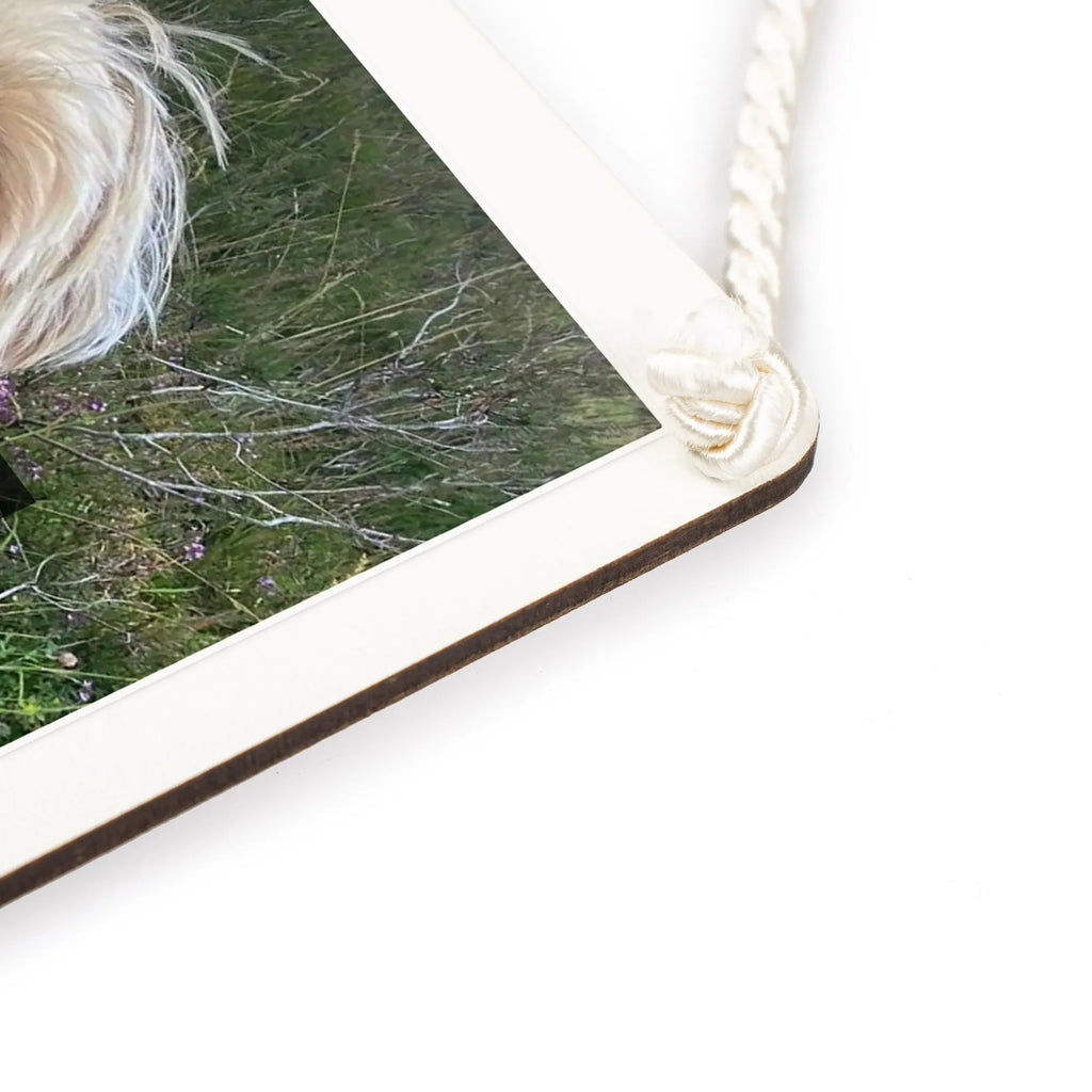 Personalisiertes Foto Deko Schild Hund Dame Großes Deko Schild Mit Foto, Deko Schild Für Küche Mit Wunschfoto, Deko Schild Mit Persönlichem Motiv, Deko Schild Mit Urlaubsfoto, Personalisiertes Deko Schild Mit Foto, Deko Schild Mit Fotodruck, Deko Schild Für Garten Mit Foto, Deko Schild Selbst Gestalten Mit Foto, Landhausstil Deko Schild Mit Bild, Deko Wandtafel Mit Bild, Deko Schild Mit Foto Und Namen, Vintage Deko Schild Mit Foto, Deko Schild Mit Familienfoto, Deko Schild Zum Hinstellen Mit Bild, Deko Schild Zum Aufhängen Mit Foto, Deko Schild Mit Haustierfoto, Rustikales Deko Schild Mit Bild, Foto Deko Schild Für Wohnzimmer, Lustiges Deko Schild Mit Foto, Dekoschild Mit Foto Und Text, Wandschild Mit Foto, Fotogeschenk Deko Schild, Metallschild Mit Wunschfoto, Modernes Deko Schild Mit Wunschfoto, Deko Schild Mit Foto, Kleines Deko Schild Mit Bild, Deko Schild Für Balkon Mit Bild, Deko Schild Mit Collage, Handgemachtes Deko Schild Mit Wunschfoto, Deko Schild Mit Wunschfoto, Deko Schild Mit Eigenem Bild, Holzschild Mit Foto, Türschild Mit Bild, Geschenk Deko Schild Mit Foto, Hund, Hundemotiv, Haustier, Hunderasse, Tierliebhaber, Hundebesitzer, Sprüche, Hundeliebe, Hundeglück, Liebe, Hunde, Frauchen