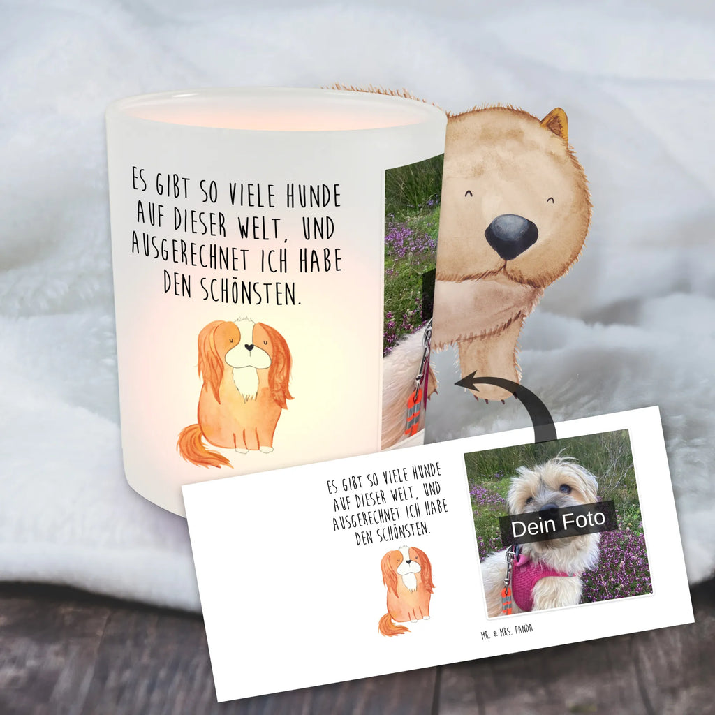 Personalisiertes Foto Windlicht Hund Cavalier King Charles Spaniel Foto Teelichthalter, Teelichthalter für draußen selber gestalten, Windlicht Draußen selber gestalten, Windlicht Wohnzimmer, Windlicht Boho, Windlicht Nachhaltig, Windlicht Für Draußen, Windlicht Dekoration mit Foto, Windlicht Vintage mit Foto, Windlicht Outdoor, Windlicht Terrasse, Windlicht mit Foto, Windlicht Design, Windlicht Skandinavisch, Teelichthalter mit Foto, Windlicht Romantisch, Teelicht Glas mit Foto, Windlicht Kerzenhalter, Windlicht Garten mit Foto, Windlicht Laterne, Windlicht Modern, Windlicht Groß, Teelichthalter Outdoor mit Foto, Windlicht Geschenk, Windlicht Handgemacht, Teelichthalter mit Wunschfoto, Windlicht Balkon, Windlichter mit Foto, Windlicht Klein, Windlicht Glas mit Wunschfoto, Hund, Hundemotiv, Haustier, Hunderasse, Tierliebhaber, Hundebesitzer, Sprüche, Spruch, Spaniel, schönster Hund, Cockerspaniel, Cavalier King Charles Spaniel