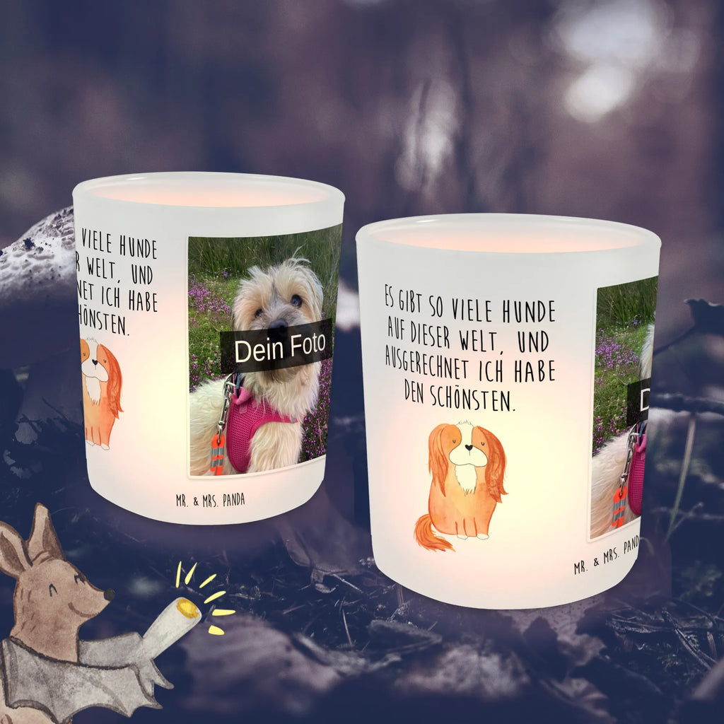 Personalisiertes Foto Windlicht Hund Cavalier King Charles Spaniel Foto Teelichthalter, Teelichthalter für draußen selber gestalten, Windlicht Draußen selber gestalten, Windlicht Wohnzimmer, Windlicht Boho, Windlicht Nachhaltig, Windlicht Für Draußen, Windlicht Dekoration mit Foto, Windlicht Vintage mit Foto, Windlicht Outdoor, Windlicht Terrasse, Windlicht mit Foto, Windlicht Design, Windlicht Skandinavisch, Teelichthalter mit Foto, Windlicht Romantisch, Teelicht Glas mit Foto, Windlicht Kerzenhalter, Windlicht Garten mit Foto, Windlicht Laterne, Windlicht Modern, Windlicht Groß, Teelichthalter Outdoor mit Foto, Windlicht Geschenk, Windlicht Handgemacht, Teelichthalter mit Wunschfoto, Windlicht Balkon, Windlichter mit Foto, Windlicht Klein, Windlicht Glas mit Wunschfoto, Hund, Hundemotiv, Haustier, Hunderasse, Tierliebhaber, Hundebesitzer, Sprüche, Spruch, Spaniel, schönster Hund, Cockerspaniel, Cavalier King Charles Spaniel