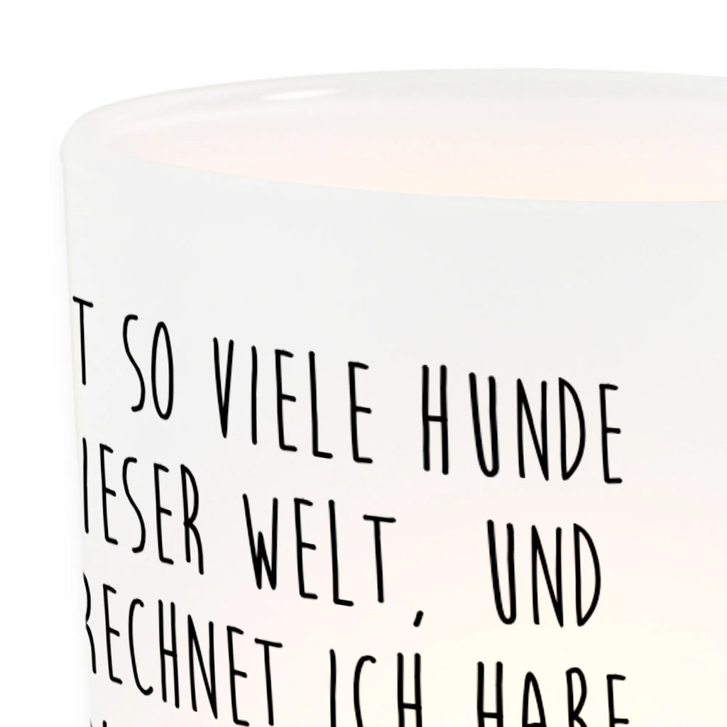 Personalisiertes Foto Windlicht Hund Cavalier King Charles Spaniel Foto Teelichthalter, Teelichthalter für draußen selber gestalten, Windlicht Draußen selber gestalten, Windlicht Wohnzimmer, Windlicht Boho, Windlicht Nachhaltig, Windlicht Für Draußen, Windlicht Dekoration mit Foto, Windlicht Vintage mit Foto, Windlicht Outdoor, Windlicht Terrasse, Windlicht mit Foto, Windlicht Design, Windlicht Skandinavisch, Teelichthalter mit Foto, Windlicht Romantisch, Teelicht Glas mit Foto, Windlicht Kerzenhalter, Windlicht Garten mit Foto, Windlicht Laterne, Windlicht Modern, Windlicht Groß, Teelichthalter Outdoor mit Foto, Windlicht Geschenk, Windlicht Handgemacht, Teelichthalter mit Wunschfoto, Windlicht Balkon, Windlichter mit Foto, Windlicht Klein, Windlicht Glas mit Wunschfoto, Hund, Hundemotiv, Haustier, Hunderasse, Tierliebhaber, Hundebesitzer, Sprüche, Spruch, Spaniel, schönster Hund, Cockerspaniel, Cavalier King Charles Spaniel