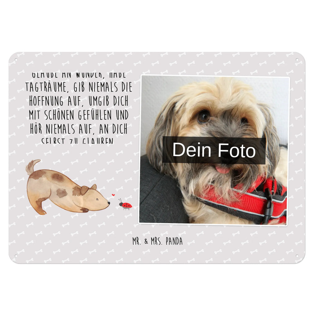 Personalized Photo Metal Sign Dog ladybug Blechschild Mit Foto, Personalisierte Wanddeko Aus Metall Mit Foto, Blechschild Mit Wunschfoto, Blechschild Für Freunde Mit Wunschfoto, Spruchschild Mit Foto, Blechschild Mit Bild Und Namen, Blechschild Als Geschenk Mit Bild, Nostalgieschild Mit Foto, Design Blechschild Mit Bild, Blechschild Küche Mit Foto, Personalisierbares Blechschild Mit Foto, Blechschild Für Balkon Mit Wunschbild, Metallschild Mit Foto, Blechschild Für Männer Mit Foto, Wandschild Mit Foto, Blechschild Wohnzimmer Mit Bild, Blechschild Zum Aufhängen Mit Foto, Metallschild Mit Wunschfoto, Blechschild Zum Hinstellen Mit Bild, Vintage Blechschild Mit Wunschfoto, Blechschild Für Frauen Mit Bild, Blechschild Handgemacht Mit Foto, Blechschild Für Garten Mit Foto, Retro Blechschild Mit Bild, Dekoschild Metall Mit Foto, Blechschild Mit Fotodruck, Lustiges Blechschild Mit Foto, Foto-Blechschild Für Zuhause, Blechschild Mit Eigenem Bild, Türschild Mit Bild, Hund, Hundemotiv, Haustier, Hunderasse, Tierliebhaber, Hundebesitzer, Sprüche, Hunde, Mischlinghund, Marienkäfer, Mischling, Hundespruch