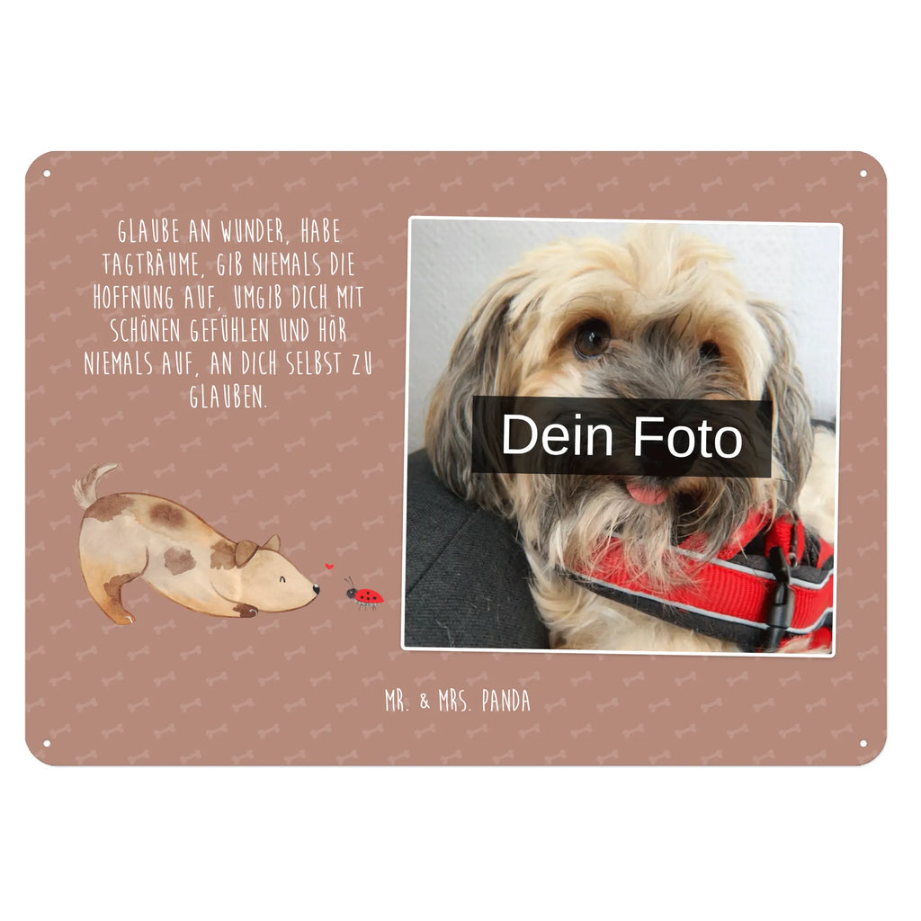 Personalized Photo Metal Sign Dog ladybug Blechschild Mit Foto, Personalisierte Wanddeko Aus Metall Mit Foto, Blechschild Mit Wunschfoto, Blechschild Für Freunde Mit Wunschfoto, Spruchschild Mit Foto, Blechschild Mit Bild Und Namen, Blechschild Als Geschenk Mit Bild, Nostalgieschild Mit Foto, Design Blechschild Mit Bild, Blechschild Küche Mit Foto, Personalisierbares Blechschild Mit Foto, Blechschild Für Balkon Mit Wunschbild, Metallschild Mit Foto, Blechschild Für Männer Mit Foto, Wandschild Mit Foto, Blechschild Wohnzimmer Mit Bild, Blechschild Zum Aufhängen Mit Foto, Metallschild Mit Wunschfoto, Blechschild Zum Hinstellen Mit Bild, Vintage Blechschild Mit Wunschfoto, Blechschild Für Frauen Mit Bild, Blechschild Handgemacht Mit Foto, Blechschild Für Garten Mit Foto, Retro Blechschild Mit Bild, Dekoschild Metall Mit Foto, Blechschild Mit Fotodruck, Lustiges Blechschild Mit Foto, Foto-Blechschild Für Zuhause, Blechschild Mit Eigenem Bild, Türschild Mit Bild, Hund, Hundemotiv, Haustier, Hunderasse, Tierliebhaber, Hundebesitzer, Sprüche, Hunde, Mischlinghund, Marienkäfer, Mischling, Hundespruch