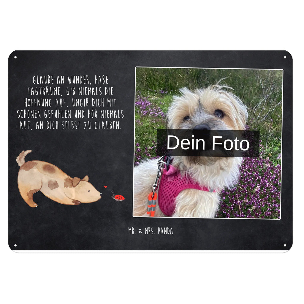 Personalized Photo Metal Sign Dog ladybug Blechschild Mit Foto, Personalisierte Wanddeko Aus Metall Mit Foto, Blechschild Mit Wunschfoto, Blechschild Für Freunde Mit Wunschfoto, Spruchschild Mit Foto, Blechschild Mit Bild Und Namen, Blechschild Als Geschenk Mit Bild, Nostalgieschild Mit Foto, Design Blechschild Mit Bild, Blechschild Küche Mit Foto, Personalisierbares Blechschild Mit Foto, Blechschild Für Balkon Mit Wunschbild, Metallschild Mit Foto, Blechschild Für Männer Mit Foto, Wandschild Mit Foto, Blechschild Wohnzimmer Mit Bild, Blechschild Zum Aufhängen Mit Foto, Metallschild Mit Wunschfoto, Blechschild Zum Hinstellen Mit Bild, Vintage Blechschild Mit Wunschfoto, Blechschild Für Frauen Mit Bild, Blechschild Handgemacht Mit Foto, Blechschild Für Garten Mit Foto, Retro Blechschild Mit Bild, Dekoschild Metall Mit Foto, Blechschild Mit Fotodruck, Lustiges Blechschild Mit Foto, Foto-Blechschild Für Zuhause, Blechschild Mit Eigenem Bild, Türschild Mit Bild, Hund, Hundemotiv, Haustier, Hunderasse, Tierliebhaber, Hundebesitzer, Sprüche, Hunde, Mischlinghund, Marienkäfer, Mischling, Hundespruch