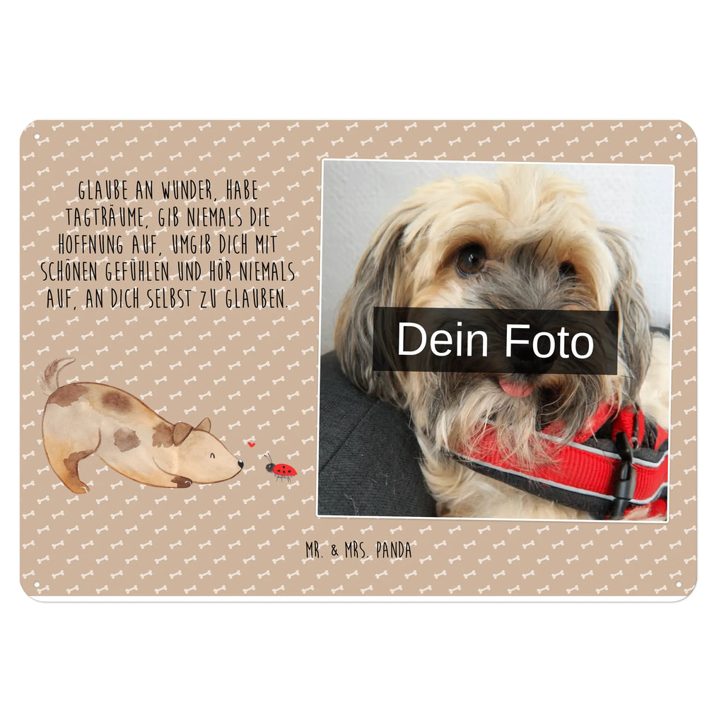 Personalized Photo Metal Sign Dog ladybug Blechschild Mit Foto, Personalisierte Wanddeko Aus Metall Mit Foto, Blechschild Mit Wunschfoto, Blechschild Für Freunde Mit Wunschfoto, Spruchschild Mit Foto, Blechschild Mit Bild Und Namen, Blechschild Als Geschenk Mit Bild, Nostalgieschild Mit Foto, Design Blechschild Mit Bild, Blechschild Küche Mit Foto, Personalisierbares Blechschild Mit Foto, Blechschild Für Balkon Mit Wunschbild, Metallschild Mit Foto, Blechschild Für Männer Mit Foto, Wandschild Mit Foto, Blechschild Wohnzimmer Mit Bild, Blechschild Zum Aufhängen Mit Foto, Metallschild Mit Wunschfoto, Blechschild Zum Hinstellen Mit Bild, Vintage Blechschild Mit Wunschfoto, Blechschild Für Frauen Mit Bild, Blechschild Handgemacht Mit Foto, Blechschild Für Garten Mit Foto, Retro Blechschild Mit Bild, Dekoschild Metall Mit Foto, Blechschild Mit Fotodruck, Lustiges Blechschild Mit Foto, Foto-Blechschild Für Zuhause, Blechschild Mit Eigenem Bild, Türschild Mit Bild, Hund, Hundemotiv, Haustier, Hunderasse, Tierliebhaber, Hundebesitzer, Sprüche, Hunde, Mischlinghund, Marienkäfer, Mischling, Hundespruch