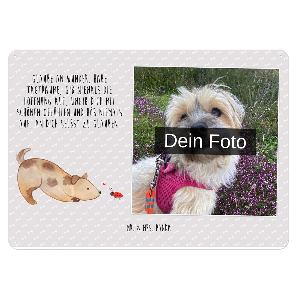 Personalized Photo Metal Sign Dog ladybug Blechschild Mit Foto, Personalisierte Wanddeko Aus Metall Mit Foto, Blechschild Mit Wunschfoto, Blechschild Für Freunde Mit Wunschfoto, Spruchschild Mit Foto, Blechschild Mit Bild Und Namen, Blechschild Als Geschenk Mit Bild, Nostalgieschild Mit Foto, Design Blechschild Mit Bild, Blechschild Küche Mit Foto, Personalisierbares Blechschild Mit Foto, Blechschild Für Balkon Mit Wunschbild, Metallschild Mit Foto, Blechschild Für Männer Mit Foto, Wandschild Mit Foto, Blechschild Wohnzimmer Mit Bild, Blechschild Zum Aufhängen Mit Foto, Metallschild Mit Wunschfoto, Blechschild Zum Hinstellen Mit Bild, Vintage Blechschild Mit Wunschfoto, Blechschild Für Frauen Mit Bild, Blechschild Handgemacht Mit Foto, Blechschild Für Garten Mit Foto, Retro Blechschild Mit Bild, Dekoschild Metall Mit Foto, Blechschild Mit Fotodruck, Lustiges Blechschild Mit Foto, Foto-Blechschild Für Zuhause, Blechschild Mit Eigenem Bild, Türschild Mit Bild, Hund, Hundemotiv, Haustier, Hunderasse, Tierliebhaber, Hundebesitzer, Sprüche, Hunde, Mischlinghund, Marienkäfer, Mischling, Hundespruch