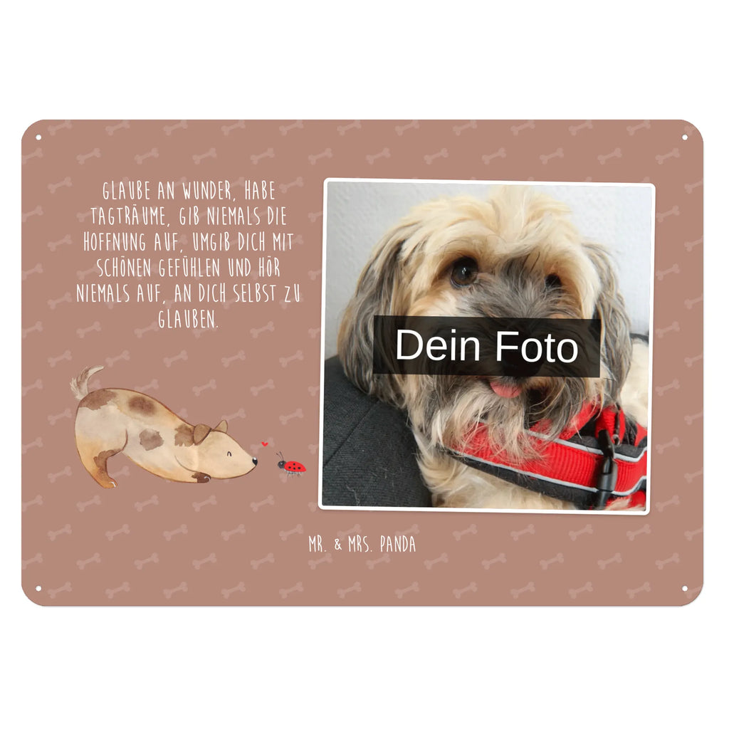 Personalized Photo Metal Sign Dog ladybug Blechschild Mit Foto, Personalisierte Wanddeko Aus Metall Mit Foto, Blechschild Mit Wunschfoto, Blechschild Für Freunde Mit Wunschfoto, Spruchschild Mit Foto, Blechschild Mit Bild Und Namen, Blechschild Als Geschenk Mit Bild, Nostalgieschild Mit Foto, Design Blechschild Mit Bild, Blechschild Küche Mit Foto, Personalisierbares Blechschild Mit Foto, Blechschild Für Balkon Mit Wunschbild, Metallschild Mit Foto, Blechschild Für Männer Mit Foto, Wandschild Mit Foto, Blechschild Wohnzimmer Mit Bild, Blechschild Zum Aufhängen Mit Foto, Metallschild Mit Wunschfoto, Blechschild Zum Hinstellen Mit Bild, Vintage Blechschild Mit Wunschfoto, Blechschild Für Frauen Mit Bild, Blechschild Handgemacht Mit Foto, Blechschild Für Garten Mit Foto, Retro Blechschild Mit Bild, Dekoschild Metall Mit Foto, Blechschild Mit Fotodruck, Lustiges Blechschild Mit Foto, Foto-Blechschild Für Zuhause, Blechschild Mit Eigenem Bild, Türschild Mit Bild, Hund, Hundemotiv, Haustier, Hunderasse, Tierliebhaber, Hundebesitzer, Sprüche, Hunde, Mischlinghund, Marienkäfer, Mischling, Hundespruch