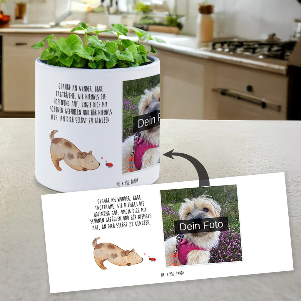 Personalisierter Foto XL Blumentopf Hund Marienkäfer Blumentopf Groß Mit Familienfoto, Personalisierter Pflanzkübel Groß Mit Bild, XL Blumentopf Für Wohnzimmer Mit Foto, Großer Blumentopf Mit Lieblingsfoto, XL Pflanztopf Für Mama Mit Foto, XL Übertopf Für Balkon Mit Wunschbild, Blumentopf Groß Mit Haustierfoto, Übertopf XL Mit Wunschfoto, Geschenk Blumentopf Groß Mit Foto, Pflanzkübel Groß Mit Eigenem Foto, Blumentopf Groß Selbst Gestalten Mit Foto, XL Blumentopf Für Hochzeit Mit Bild, Pflanztopf Groß Mit Bild, Pflanzgefäß XL Mit Foto Und Namen, XL Blumentopf Mit Foto, Dekotopf Groß Mit Wunschbild, XL Blumentopf Mit Kinderfoto, Blumentopf Aus Keramik XL Mit Foto, Blumentopf Terrasse Groß Mit Foto, Fotogeschenk XL Blumentopf, Großer Blumentopf Mit Bild Und Wunschtext, Blumentopf Extra Groß Mit Fotodruck, Beton Pflanzgefäß XL Mit Fotodruck, Großer Blumentopf Mit Wunschfoto, Blumentopf Für Garten Mit Bild, Personalisierter XL Blumentopf Mit Foto, Kunststoffblumentopf Groß Mit Wunschfoto, Hund, Hundemotiv, Haustier, Hunderasse, Tierliebhaber, Hundebesitzer, Sprüche, Hunde, Marienkäfer, Mischlinghund, Hundespruch, Mischling