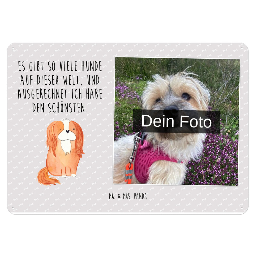 Personalized Photo Metal Sign Dog Cavalier King Charles Spaniel Blechschild Zum Aufhängen Mit Foto, Blechschild Für Frauen Mit Bild, Blechschild Für Männer Mit Foto, Blechschild Mit Bild Und Namen, Türschild Mit Bild, Blechschild Wohnzimmer Mit Bild, Metallschild Mit Wunschfoto, Blechschild Für Freunde Mit Wunschfoto, Spruchschild Mit Foto, Vintage Blechschild Mit Wunschfoto, Blechschild Als Geschenk Mit Bild, Foto-Blechschild Für Zuhause, Personalisierbares Blechschild Mit Foto, Blechschild Mit Foto, Metallschild Mit Foto, Nostalgieschild Mit Foto, Blechschild Handgemacht Mit Foto, Retro Blechschild Mit Bild, Lustiges Blechschild Mit Foto, Wandschild Mit Foto, Blechschild Für Garten Mit Foto, Design Blechschild Mit Bild, Personalisierte Wanddeko Aus Metall Mit Foto, Blechschild Mit Fotodruck, Dekoschild Metall Mit Foto, Blechschild Zum Hinstellen Mit Bild, Blechschild Küche Mit Foto, Blechschild Mit Eigenem Bild, Blechschild Für Balkon Mit Wunschbild, Blechschild Mit Wunschfoto, Hund, Hundemotiv, Haustier, Hunderasse, Tierliebhaber, Hundebesitzer, Sprüche, Spaniel, Cockerspaniel, schönster Hund, Spruch, Cavalier King Charles Spaniel