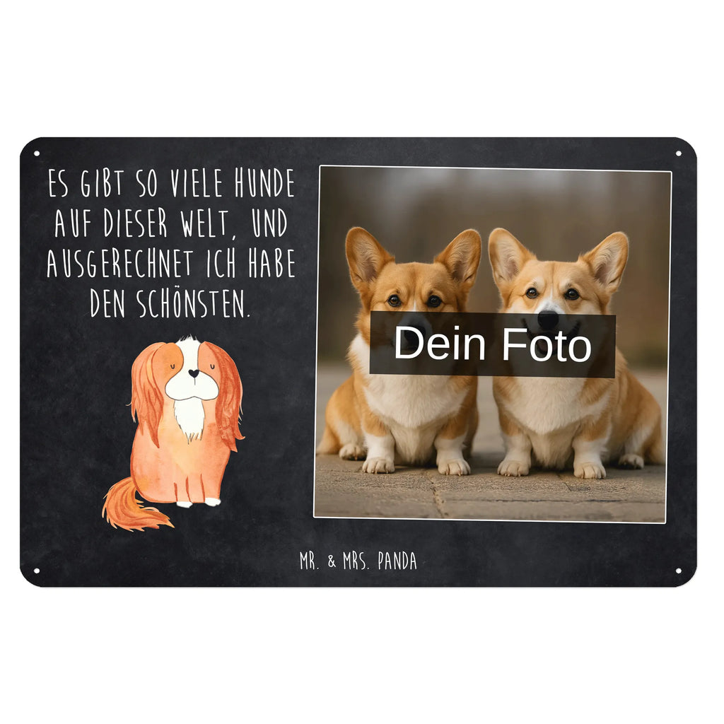 Personalized Photo Metal Sign Dog Cavalier King Charles Spaniel Blechschild Zum Aufhängen Mit Foto, Blechschild Für Frauen Mit Bild, Blechschild Für Männer Mit Foto, Blechschild Mit Bild Und Namen, Türschild Mit Bild, Blechschild Wohnzimmer Mit Bild, Metallschild Mit Wunschfoto, Blechschild Für Freunde Mit Wunschfoto, Spruchschild Mit Foto, Vintage Blechschild Mit Wunschfoto, Blechschild Als Geschenk Mit Bild, Foto-Blechschild Für Zuhause, Personalisierbares Blechschild Mit Foto, Blechschild Mit Foto, Metallschild Mit Foto, Nostalgieschild Mit Foto, Blechschild Handgemacht Mit Foto, Retro Blechschild Mit Bild, Lustiges Blechschild Mit Foto, Wandschild Mit Foto, Blechschild Für Garten Mit Foto, Design Blechschild Mit Bild, Personalisierte Wanddeko Aus Metall Mit Foto, Blechschild Mit Fotodruck, Dekoschild Metall Mit Foto, Blechschild Zum Hinstellen Mit Bild, Blechschild Küche Mit Foto, Blechschild Mit Eigenem Bild, Blechschild Für Balkon Mit Wunschbild, Blechschild Mit Wunschfoto, Hund, Hundemotiv, Haustier, Hunderasse, Tierliebhaber, Hundebesitzer, Sprüche, Spaniel, Cockerspaniel, schönster Hund, Spruch, Cavalier King Charles Spaniel