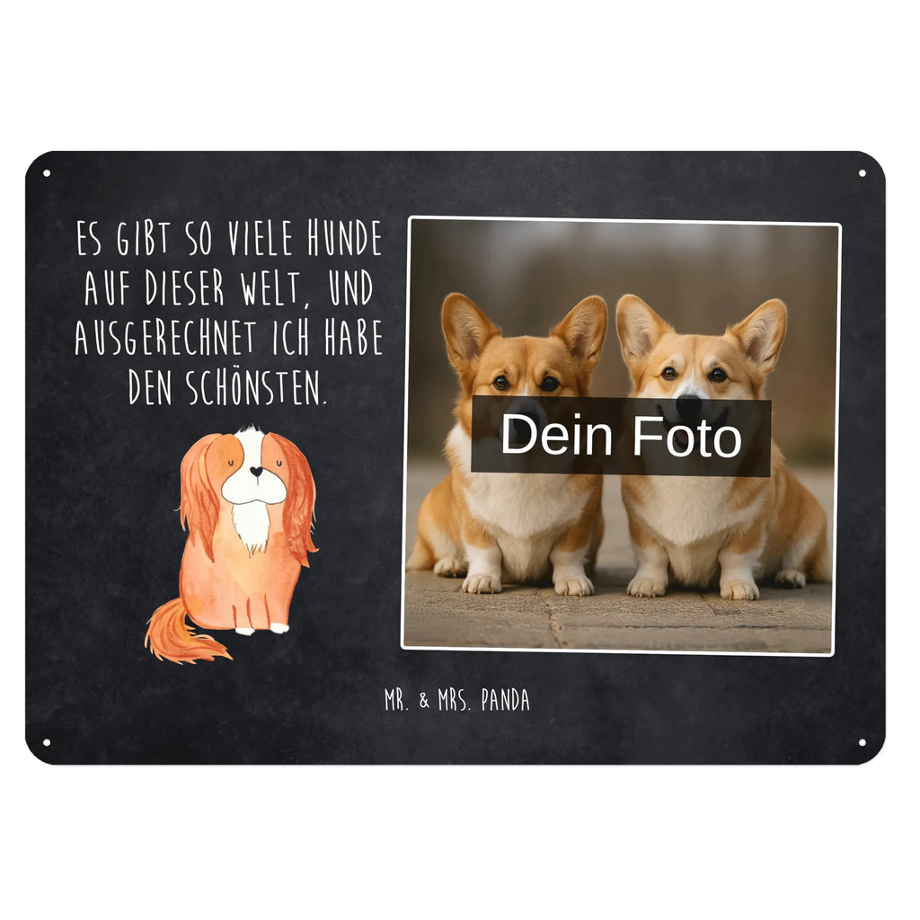 Personalized Photo Metal Sign Dog Cavalier King Charles Spaniel Blechschild Zum Aufhängen Mit Foto, Blechschild Für Frauen Mit Bild, Blechschild Für Männer Mit Foto, Blechschild Mit Bild Und Namen, Türschild Mit Bild, Blechschild Wohnzimmer Mit Bild, Metallschild Mit Wunschfoto, Blechschild Für Freunde Mit Wunschfoto, Spruchschild Mit Foto, Vintage Blechschild Mit Wunschfoto, Blechschild Als Geschenk Mit Bild, Foto-Blechschild Für Zuhause, Personalisierbares Blechschild Mit Foto, Blechschild Mit Foto, Metallschild Mit Foto, Nostalgieschild Mit Foto, Blechschild Handgemacht Mit Foto, Retro Blechschild Mit Bild, Lustiges Blechschild Mit Foto, Wandschild Mit Foto, Blechschild Für Garten Mit Foto, Design Blechschild Mit Bild, Personalisierte Wanddeko Aus Metall Mit Foto, Blechschild Mit Fotodruck, Dekoschild Metall Mit Foto, Blechschild Zum Hinstellen Mit Bild, Blechschild Küche Mit Foto, Blechschild Mit Eigenem Bild, Blechschild Für Balkon Mit Wunschbild, Blechschild Mit Wunschfoto, Hund, Hundemotiv, Haustier, Hunderasse, Tierliebhaber, Hundebesitzer, Sprüche, Spaniel, Cockerspaniel, schönster Hund, Spruch, Cavalier King Charles Spaniel