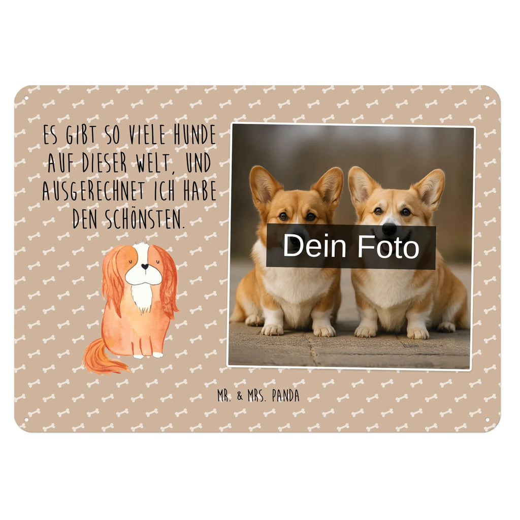 Personalized Photo Metal Sign Dog Cavalier King Charles Spaniel Blechschild Zum Aufhängen Mit Foto, Blechschild Für Frauen Mit Bild, Blechschild Für Männer Mit Foto, Blechschild Mit Bild Und Namen, Türschild Mit Bild, Blechschild Wohnzimmer Mit Bild, Metallschild Mit Wunschfoto, Blechschild Für Freunde Mit Wunschfoto, Spruchschild Mit Foto, Vintage Blechschild Mit Wunschfoto, Blechschild Als Geschenk Mit Bild, Foto-Blechschild Für Zuhause, Personalisierbares Blechschild Mit Foto, Blechschild Mit Foto, Metallschild Mit Foto, Nostalgieschild Mit Foto, Blechschild Handgemacht Mit Foto, Retro Blechschild Mit Bild, Lustiges Blechschild Mit Foto, Wandschild Mit Foto, Blechschild Für Garten Mit Foto, Design Blechschild Mit Bild, Personalisierte Wanddeko Aus Metall Mit Foto, Blechschild Mit Fotodruck, Dekoschild Metall Mit Foto, Blechschild Zum Hinstellen Mit Bild, Blechschild Küche Mit Foto, Blechschild Mit Eigenem Bild, Blechschild Für Balkon Mit Wunschbild, Blechschild Mit Wunschfoto, Hund, Hundemotiv, Haustier, Hunderasse, Tierliebhaber, Hundebesitzer, Sprüche, Spaniel, Cockerspaniel, schönster Hund, Spruch, Cavalier King Charles Spaniel