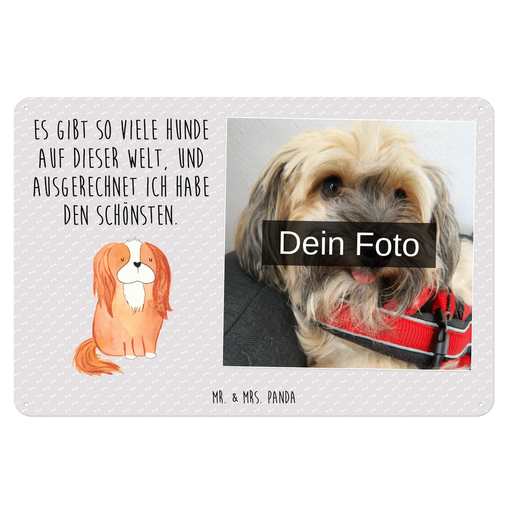 Personalized Photo Metal Sign Dog Cavalier King Charles Spaniel Blechschild Zum Aufhängen Mit Foto, Blechschild Für Frauen Mit Bild, Blechschild Für Männer Mit Foto, Blechschild Mit Bild Und Namen, Türschild Mit Bild, Blechschild Wohnzimmer Mit Bild, Metallschild Mit Wunschfoto, Blechschild Für Freunde Mit Wunschfoto, Spruchschild Mit Foto, Vintage Blechschild Mit Wunschfoto, Blechschild Als Geschenk Mit Bild, Foto-Blechschild Für Zuhause, Personalisierbares Blechschild Mit Foto, Blechschild Mit Foto, Metallschild Mit Foto, Nostalgieschild Mit Foto, Blechschild Handgemacht Mit Foto, Retro Blechschild Mit Bild, Lustiges Blechschild Mit Foto, Wandschild Mit Foto, Blechschild Für Garten Mit Foto, Design Blechschild Mit Bild, Personalisierte Wanddeko Aus Metall Mit Foto, Blechschild Mit Fotodruck, Dekoschild Metall Mit Foto, Blechschild Zum Hinstellen Mit Bild, Blechschild Küche Mit Foto, Blechschild Mit Eigenem Bild, Blechschild Für Balkon Mit Wunschbild, Blechschild Mit Wunschfoto, Hund, Hundemotiv, Haustier, Hunderasse, Tierliebhaber, Hundebesitzer, Sprüche, Spaniel, Cockerspaniel, schönster Hund, Spruch, Cavalier King Charles Spaniel