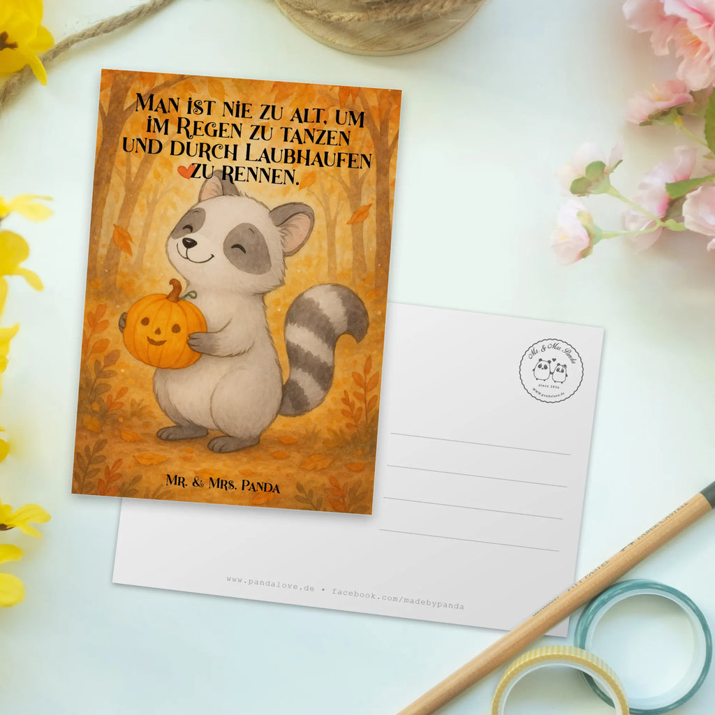 Postkarte Waschbär Kürbis Design Einladung Geburtstag, Einladungskarte, Einladungskarten Geburtstag, Ansichtskarten, Postkarte, Geburtstagskarte, Karte, Grußkarte, Dankeskarte, Einladung, Geschenkkarte, Ansichtskarte, Halloween, Deko, Martinssingen, Dekoration, Geschenke, Schenken, Süßes sonst gibt's saures, Waschbär, Halloween Deko, Kürbis, Trick or Treat