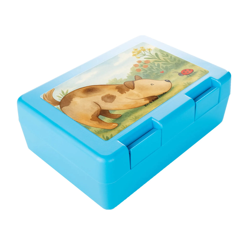 Brotdose Hund Marienkäfer Design Vesperdose, Essensdose, Robuste Brotdose, Brotdose Büro, Brotdose Schule, Brotdose Mit Clipverschluss, Brotdose Nachhaltig, Brotdose Mit Trennwand, Brotdose BPA-Frei, Brotdose Mit Deckel, Wiederverwendbare Brotdose, Umweltfreundliche Brotdose, Brotdose Aus Kunststoff, Brotdose Für Jungen, Vesperbox, Brotdose Auslaufsicher, Brotdose Für Mädchen, Brotdose Mit Tiermotiv, Design Brotdose, Lustige Brotdose, Butterbrotdose, Essensbox, Snackbox, Lunchbox, Brotdose Kinder, Brotdose Für Unterwegs, Brotdose Kindergarten, Brotbox, Pausenbrotbox, Brotdose Spülmaschinenfest, Brotdose Aus Glas, Frühstücksdose, Lunchbehältnis, Brotdose Kita, Brotdose, Brotdose Erwachsene, Leichte Brotdose, Brotdose Mit Motiv, Brotdose Aus Edelstahl, Lunchbehälter, Mahlzeitendose, Brotdose Mit Spruch, Jausenbox, Hund, Hundemotiv, Haustier, Hunderasse, Tierliebhaber, Hundebesitzer, Sprüche, Hundespruch, Marienkäfer, Mischlinghund, Mischling, Hunde