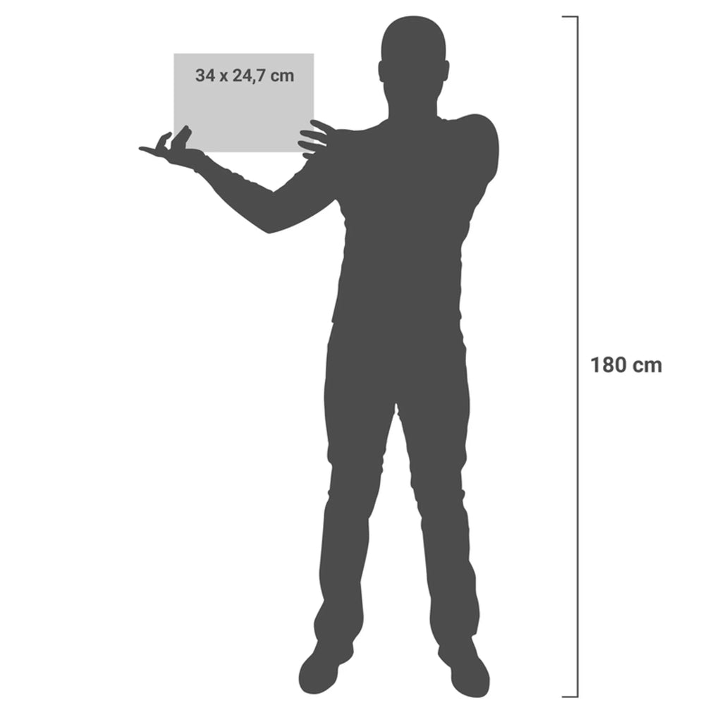  Penguin campfire Design Penguin, North Pole, Winter, Penguins, love, office, everyday office life, motivation, barbecue, marshmallows, fire, campfire, job, work, new start, mouse, life motivation, life motto, life, penguins