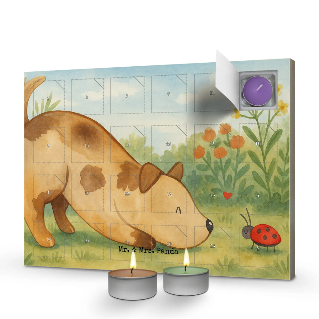 Scented candle advent calendar Dog ladybug Design dog, mutt, hound, woof, dog mama, dog breed, love dogs, love for dogs, dog decorative items, bag with dog print, funny gifts for dog owners, what do you give a dog lover, Christmas gifts for dogs, gifts for dogs, dog sayings, Mongrel dog, Dogs, Dog slogan, Dog, Sayings, Mongrel, Ladybird