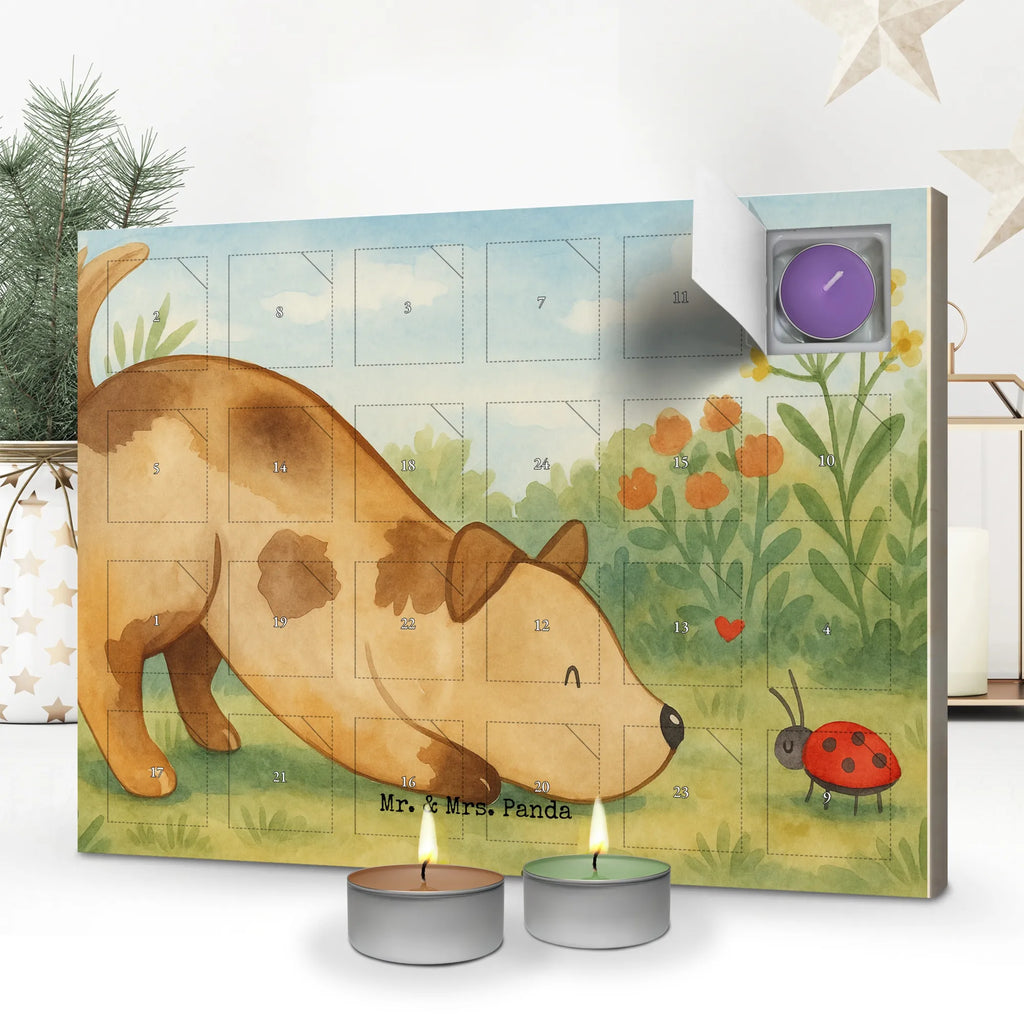 Scented candle advent calendar Dog ladybug Design dog, mutt, hound, woof, dog mama, dog breed, love dogs, love for dogs, dog decorative items, bag with dog print, funny gifts for dog owners, what do you give a dog lover, Christmas gifts for dogs, gifts for dogs, dog sayings, Mongrel dog, Dogs, Dog slogan, Dog, Sayings, Mongrel, Ladybird