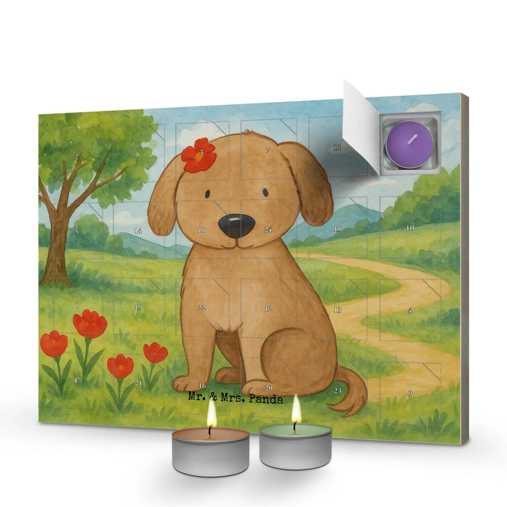 Duftkerzen Adventskalender Hund Dame Design adventskalender kerzen, duftkerzenkalender, advent kalender, adventskerzen kalender, aroma adventskalender, duft adventskalender, duft kalender, adventskalender mit kerzen, Duftkerzen Adventskalender, Kerzen Adventskalender, kerzenkalender, raumduft adventskalender, Adventskalender, adventskalender mit duftkerzen, adventskalender duftkerzen, weihnachts adventskalender, Weihnachtskalender, Sprüche, Hund, Hunderasse, Hundebesitzer, Hundemotiv, Haustier, Tierliebhaber, Frauchen, Liebe, Hundeglück, Hunde, Hundeliebe
