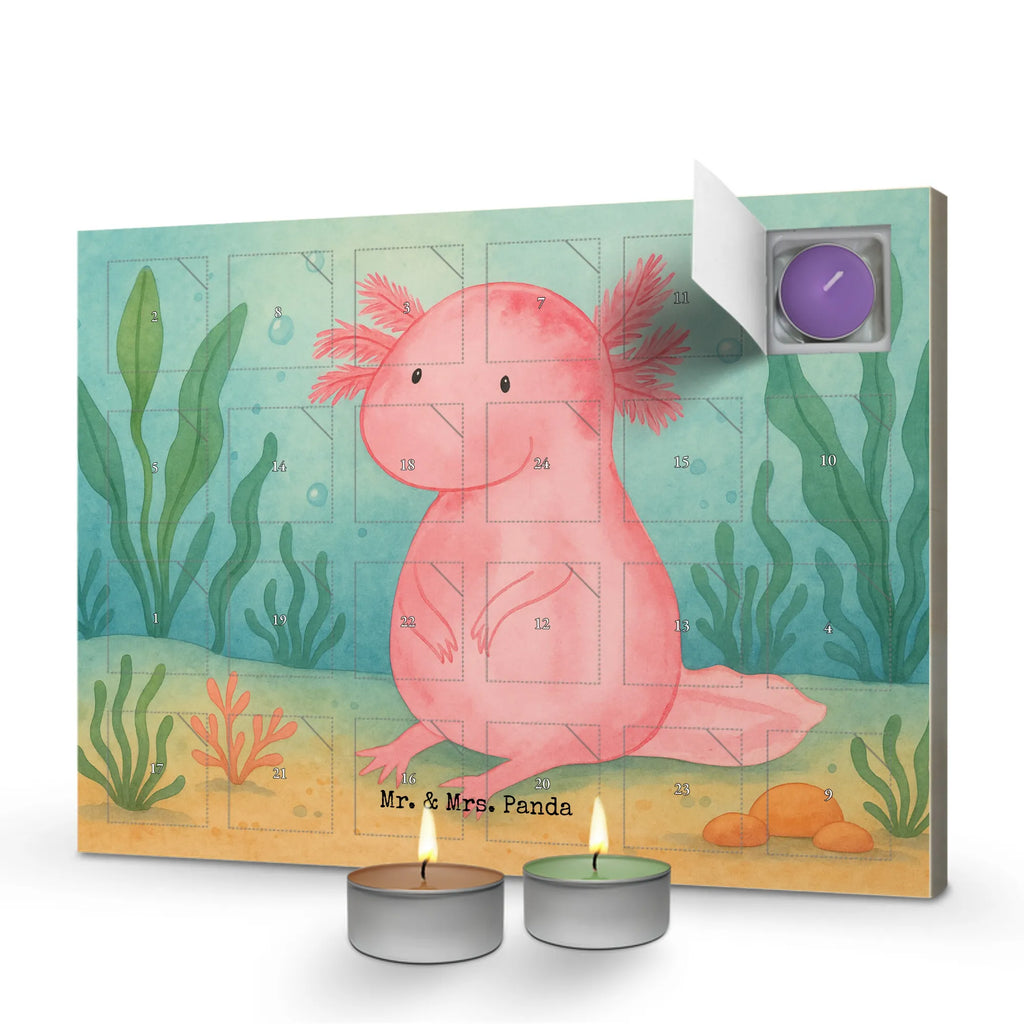 Scented candle advent calendar axolotl zero Design kerzenkalender, adventskalender duftkerzen, adventskerzen kalender, adventskalender kerzen, Adventskalender, duft kalender, weihnachts adventskalender, duftkerzenkalender, raumduft adventskalender, aroma adventskalender, Weihnachtskalender, adventskalender mit kerzen, adventskalender mit duftkerzen, Kerzen Adventskalender, duft adventskalender, advent kalender, Duftkerzen Adventskalender, Axolotl, Molch, Zufrieden, Fröhlich, Vergnügt, Weisheit, Axolot, Freundin, Lebensstil, Liebe, Lebensweisheit