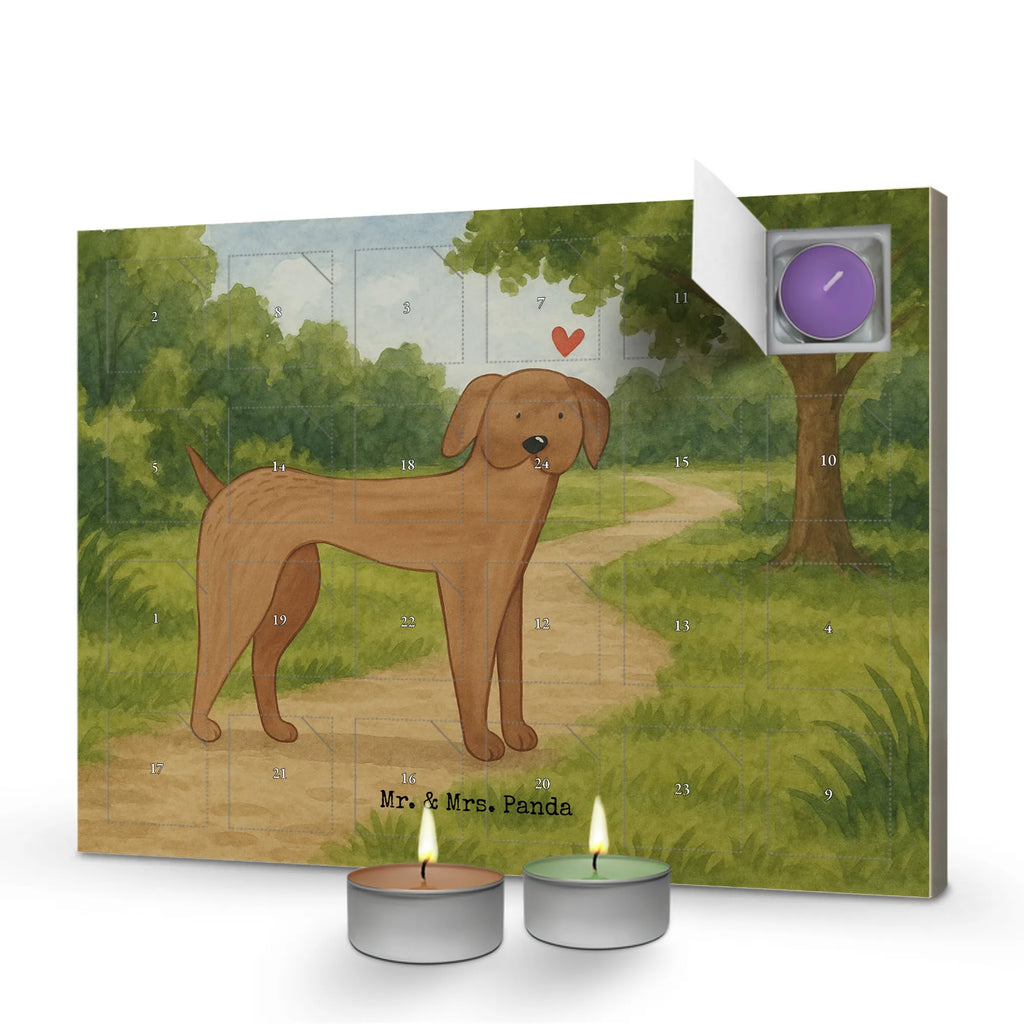 Scented candle advent calendar Dog mastiff Design dog, mutt, hound, woof, dog mama, dog breed, love dogs, love for dogs, dog decorative items, bag with dog print, funny gifts for dog owners, what do you give a dog lover, Christmas gifts for dogs, gifts for dogs, dog sayings, Great Dane, Dogs, Dog