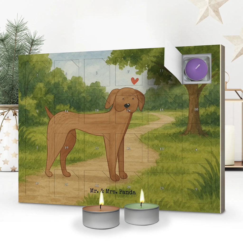 Scented candle advent calendar Dog mastiff Design dog, mutt, hound, woof, dog mama, dog breed, love dogs, love for dogs, dog decorative items, bag with dog print, funny gifts for dog owners, what do you give a dog lover, Christmas gifts for dogs, gifts for dogs, dog sayings, Great Dane, Dogs, Dog