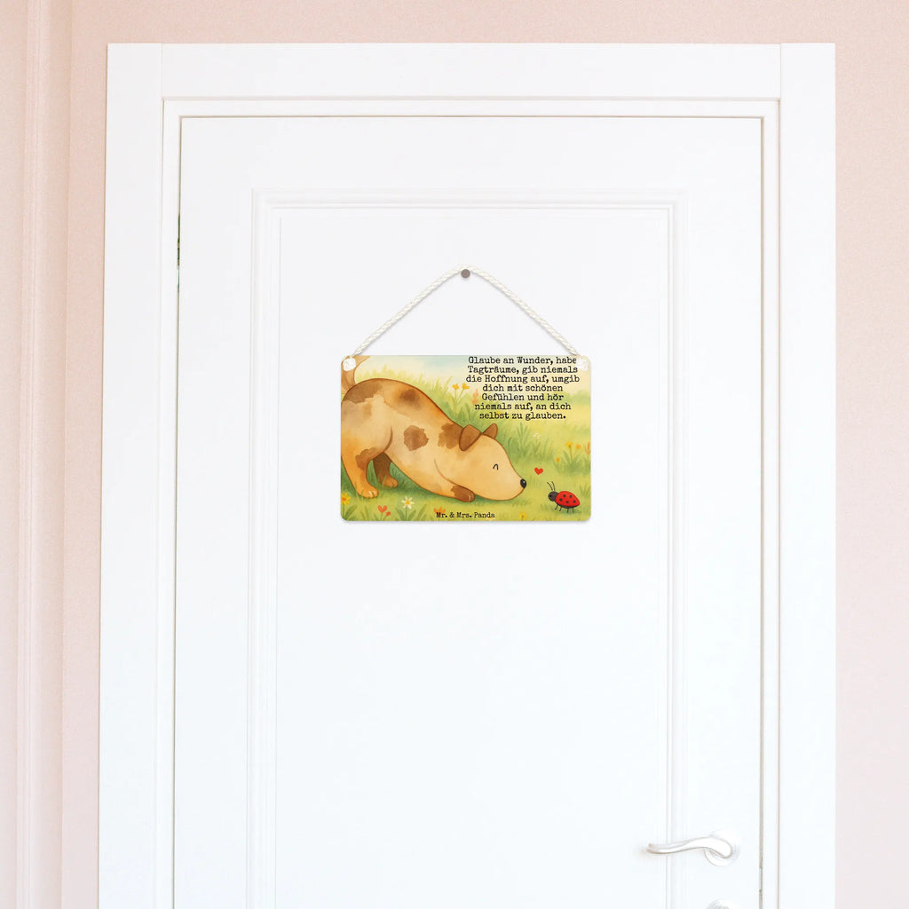 Deko Schild Hund Marienkäfer Design Deko schild Liebevoll Gestaltet, Deko schild Mit Spruch, Türschild, Dekoschild, Wanddeko Schild, Deko schild Für Balkon, Lustiges Deko schild, Deko schild Für Wohnzimmer, Deko schild Modern, Dekoschild Für Familie, Rustikales Deko schild, Vintage Schild, Deko schild Mit Lebensweisheit, Deko Schild, Dekoschild Zum Aufhängen, Dekoschild Handgemacht, Dekoschild Groß, Wandschild, Metallschild, Shabby Chic Schild, Dekoschild Geschenk, Schild Zum Hinstellen, Spruchschild, Dekoschild Klein, Deko Wandtafel, Dekoschild Für Badezimmer, Dekoschild Aus Holz, Dekos child Für Garten, Deko schild Landhausstil, Dekoschild Für Flur, Deko schild Mit Blumenmotiv, Schild Zum Aufstellen, Holzschild, Deko schild Mit Herz, Schild Aus Holz, Deko schild Mit Motiv, Schild Aus Metall, Türschild Mit Spruch, Deko schild Für Küche, Dekoschild Für Freunde, Hund, Hundemotiv, Haustier, Hunderasse, Tierliebhaber, Hundebesitzer, Sprüche, Hunde, Mischlinghund, Marienkäfer, Hundespruch, Mischling