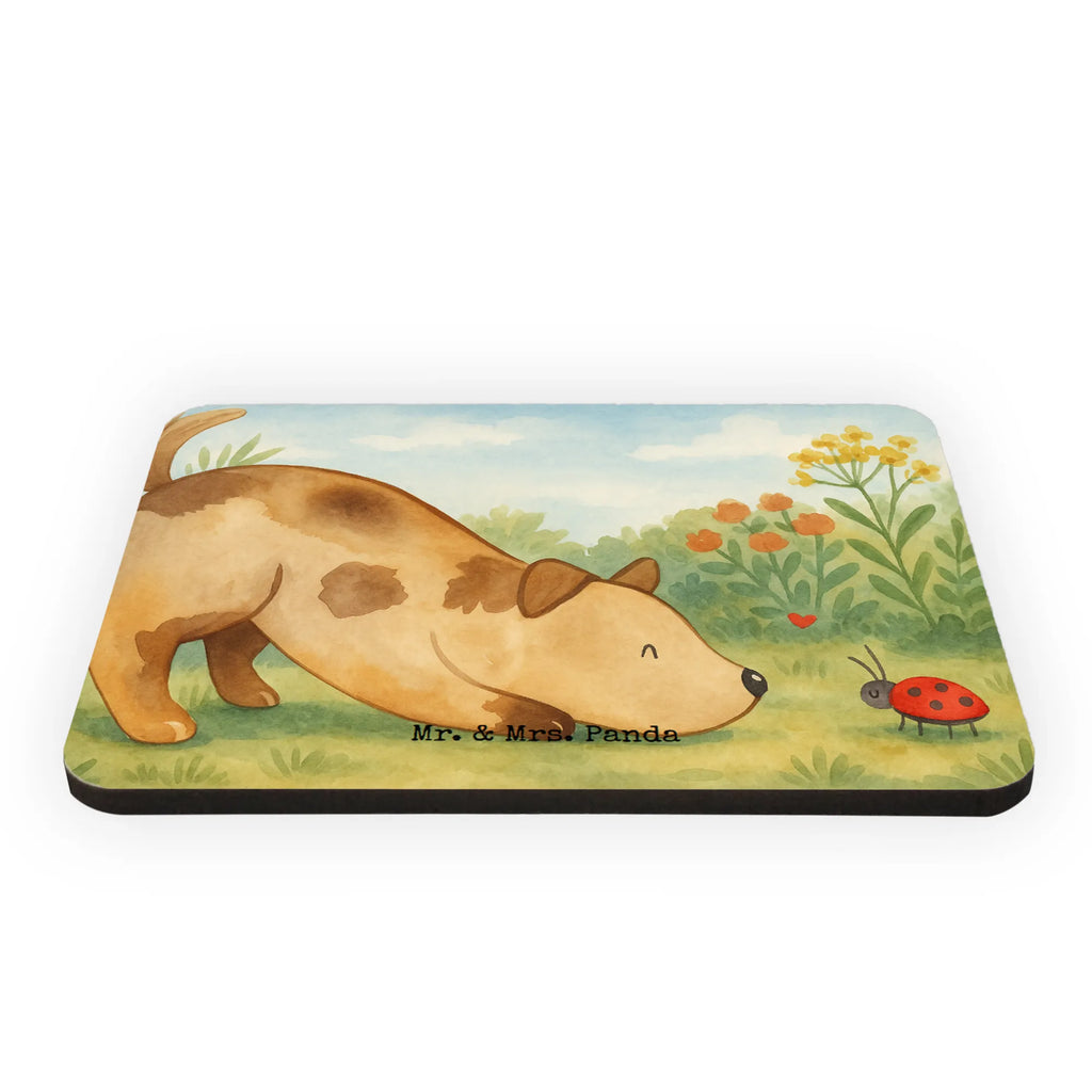 Magnet Hund Marienkäfer Design Notiz Magnet, Pinnwandmagnet, Motivmagnete, Souvenir Magnet, Dekomagnet, Kühlschrank Dekoration, Whiteboard Magnet, Kühlschrankmagnet, Hund, Hundemotiv, Haustier, Hunderasse, Tierliebhaber, Hundebesitzer, Sprüche, Mischling, Hunde, Hundespruch, Mischlinghund, Marienkäfer