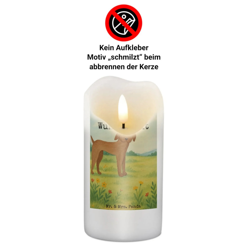 Personalisierte Kerze Hund Dogge Design Metall-Kerze Mit Namensgravur, Weihnachtskerze Mit Namensgravur, Personalisierte Kerze, Firmungskerze Mit Wunschname, Blockkerze Mit Namensdruck, Trauerkerze Mit Namen, Andachtskerze Mit Namensgravur, Bienenwachskerze Mit Wunschname, Stumpenkerze Mit Namensgravur, Kerze Mit Prägung Und Wunschname, Grabkerze Mit Namensgravur, LED-Kerze Mit Wunschname, Teelicht Mit Namensdruck, Schwimmkerze Mit Namen, Stearinkerze Mit Gravur, Fair-Trade-Kerze Mit Namensgravur, Streukerze Mit Namensdruck, Gartenkerze Mit Namen, Laternenkerze Mit Namensdruck, Stabkerze Mit Gravur, Kerze Mit Namen, Votivkerze Mit Wunschname, Taufekerze Mit Namensgravur, Holz-Kerze Mit Namen, Kerze Für Geburtstag Mit Wunschname, Kerze Für Hochzeit Mit Namensgravur, Osterkerze Mit Namen, Kerze Mit Spruch Und Namen, Outdoor-Kerze Mit Namensgravur, Gastgeschenk Kerze Mit Namen, Adventskerze Mit Wunschname, Tafelkerze Mit Wunschname, Handgemachte Kerze Mit Wunschname, Tischkerze Mit Namensdruck, Glas-Kerze Mit Wunschname, Kommunionkerze Mit Namen, Duftkerze Mit Namen, Bio-Kerze Mit Wunschname, Handgegossene Kerze Mit Namen, Gedenkkerze Mit Namen, Kerzen-Set Mit Namensgravur, Sojawachskerze Mit Namensdruck, Hund, Hundemotiv, Haustier, Hunderasse, Tierliebhaber, Hundebesitzer, Sprüche, Hunde, Deutsche Dogge, Great Dane, Dogge