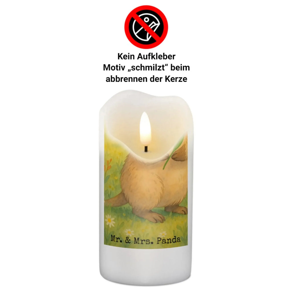 Personalisierte Kerze Quokka Happy Design Kerze Mit Namen, Schwimmkerze Mit Namen, Metall-Kerze Mit Namensgravur, Gastgeschenk Kerze Mit Namen, Tafelkerze Mit Wunschname, Grabkerze Mit Namensgravur, Outdoor-Kerze Mit Namensgravur, Stumpenkerze Mit Namensgravur, Firmungskerze Mit Wunschname, Gartenkerze Mit Namen, Holz-Kerze Mit Namen, Taufekerze Mit Namensgravur, Kerze Für Geburtstag Mit Wunschname, Stearinkerze Mit Gravur, Trauerkerze Mit Namen, Stabkerze Mit Gravur, Personalisierte Kerze, Adventskerze Mit Wunschname, Teelicht Mit Namensdruck, Osterkerze Mit Namen, Handgemachte Kerze Mit Wunschname, Bienenwachskerze Mit Wunschname, Kerze Mit Spruch Und Namen, Laternenkerze Mit Namensdruck, Votivkerze Mit Wunschname, Fair-Trade-Kerze Mit Namensgravur, Handgegossene Kerze Mit Namen, Bio-Kerze Mit Wunschname, Tischkerze Mit Namensdruck, Kommunionkerze Mit Namen, LED-Kerze Mit Wunschname, Kerze Für Hochzeit Mit Namensgravur, Kerze Mit Prägung Und Wunschname, Streukerze Mit Namensdruck, Weihnachtskerze Mit Namensgravur, Blockkerze Mit Namensdruck, Sojawachskerze Mit Namensdruck, Glas-Kerze Mit Wunschname, Kerzen-Set Mit Namensgravur, Gedenkkerze Mit Namen, Andachtskerze Mit Namensgravur, Duftkerze Mit Namen, Tiermotive, Gute Laune, lustige Sprüche, Tiere, Aufschieberitis, Niedliches Tier, Lustiger Spruch, Dinge erledigen, Verschieben, Quokka