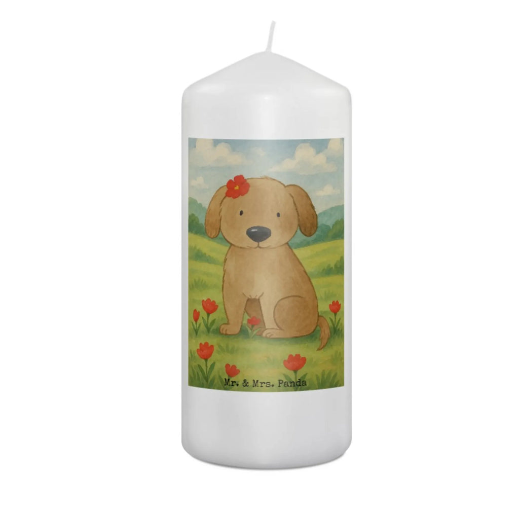 Kerze Hund Dame Design Kerze Mit Prägung, Votivkerze, Blockkerze, Teelicht, Tischkerze, Kerze Für Kommunion, Kerze Als Gastgeschenk, Handgemachte Kerze, Kerze Für Hochzeit, Stabkerze, Trauerkerze, Outdoor-Kerze, Gartenkerze, Streukerze, Kerze Mit Duft, Sojawachskerze, Kerze Mit Spruch, Grablicht, Glas-Kerze, Stearin­kerze, Bio-Kerze, Dinnerkerzenpaar, Kerze Für Firmung, Kerze Mit Fotoeinleger, Kerze Für Weihnachten, Grabkerze, Kerze Für Ostern, Kerze Mit Gravur, Fair-Trade-Kerze, Stumpenkerzen-Set, Kerze, Kerze Ohne Duft, Gedenkkerze, Kerze Mit Motiv, Metall-Kerze, Kerze Für Geburtstag, Tafelkerze, Kerze Für Advent, Handgegossene Kerze, Laternenkerze, Stumpenkerze, Kerze Für Taufe, Dinnerkerze, Andachtskerze, Kerze Mit Namensgravur, Duftkerze, Hund, Hundemotiv, Haustier, Hunderasse, Tierliebhaber, Hundebesitzer, Sprüche, Liebe, Hundeliebe, Hundeglück, Hunde, Frauchen