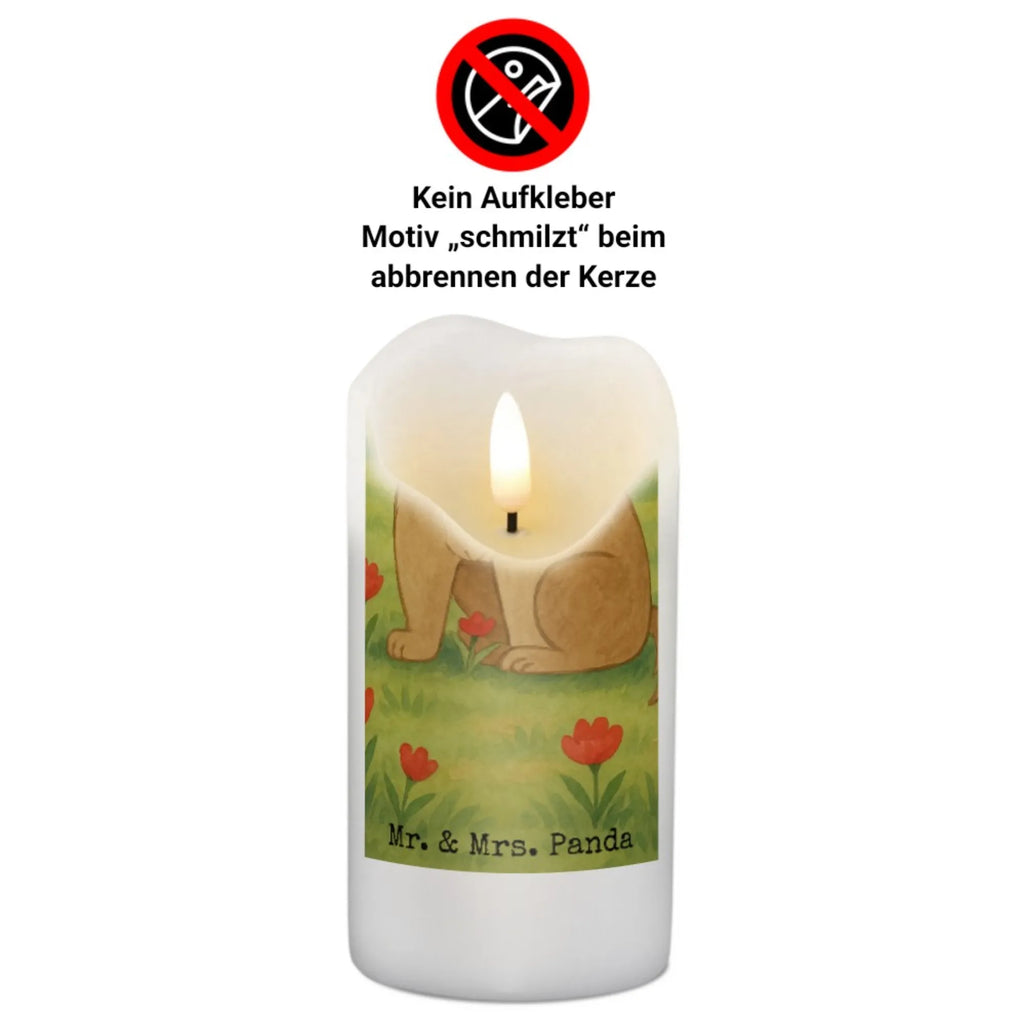 Kerze Hund Dame Design Kerze Mit Prägung, Votivkerze, Blockkerze, Teelicht, Tischkerze, Kerze Für Kommunion, Kerze Als Gastgeschenk, Handgemachte Kerze, Kerze Für Hochzeit, Stabkerze, Trauerkerze, Outdoor-Kerze, Gartenkerze, Streukerze, Kerze Mit Duft, Sojawachskerze, Kerze Mit Spruch, Grablicht, Glas-Kerze, Stearin­kerze, Bio-Kerze, Dinnerkerzenpaar, Kerze Für Firmung, Kerze Mit Fotoeinleger, Kerze Für Weihnachten, Grabkerze, Kerze Für Ostern, Kerze Mit Gravur, Fair-Trade-Kerze, Stumpenkerzen-Set, Kerze, Kerze Ohne Duft, Gedenkkerze, Kerze Mit Motiv, Metall-Kerze, Kerze Für Geburtstag, Tafelkerze, Kerze Für Advent, Handgegossene Kerze, Laternenkerze, Stumpenkerze, Kerze Für Taufe, Dinnerkerze, Andachtskerze, Kerze Mit Namensgravur, Duftkerze, Hund, Hundemotiv, Haustier, Hunderasse, Tierliebhaber, Hundebesitzer, Sprüche, Liebe, Hundeliebe, Hundeglück, Hunde, Frauchen