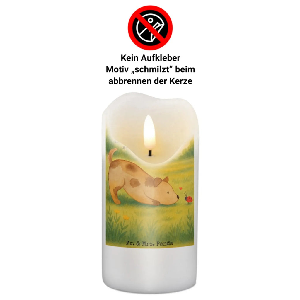Kerze Hund Marienkäfer Design Kerze Für Advent, Kerze Mit Motiv, Kerze Für Hochzeit, Kerze Mit Gravur, Kerze Für Firmung, Stumpenkerze, Metall-Kerze, Handgemachte Kerze, Andachtskerze, Kerze Für Kommunion, Dinnerkerze, Kerze Mit Prägung, Kerze Für Taufe, Dinnerkerzenpaar, Grabkerze, Fair-Trade-Kerze, Teelicht, Kerze Für Geburtstag, Tischkerze, Outdoor-Kerze, Kerze Mit Duft, Stabkerze, Kerze Für Weihnachten, Stumpenkerzen-Set, Duftkerze, Trauerkerze, Glas-Kerze, Bio-Kerze, Gartenkerze, Kerze, Kerze Ohne Duft, Blockkerze, Votivkerze, Kerze Mit Namensgravur, Kerze Als Gastgeschenk, Grablicht, Kerze Mit Spruch, Laternenkerze, Tafelkerze, Kerze Für Ostern, Sojawachskerze, Kerze Mit Fotoeinleger, Gedenkkerze, Streukerze, Stearin­kerze, Handgegossene Kerze, Hund, Hundemotiv, Haustier, Hunderasse, Tierliebhaber, Hundebesitzer, Sprüche, Mischlinghund, Hunde, Mischling, Marienkäfer, Hundespruch
