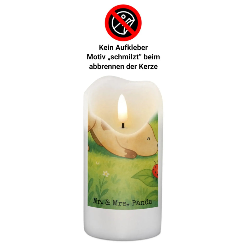 Kerze Hund Marienkäfer Design Kerze Für Advent, Kerze Mit Motiv, Kerze Für Hochzeit, Kerze Mit Gravur, Kerze Für Firmung, Stumpenkerze, Metall-Kerze, Handgemachte Kerze, Andachtskerze, Kerze Für Kommunion, Dinnerkerze, Kerze Mit Prägung, Kerze Für Taufe, Dinnerkerzenpaar, Grabkerze, Fair-Trade-Kerze, Teelicht, Kerze Für Geburtstag, Tischkerze, Outdoor-Kerze, Kerze Mit Duft, Stabkerze, Kerze Für Weihnachten, Stumpenkerzen-Set, Duftkerze, Trauerkerze, Glas-Kerze, Bio-Kerze, Gartenkerze, Kerze, Kerze Ohne Duft, Blockkerze, Votivkerze, Kerze Mit Namensgravur, Kerze Als Gastgeschenk, Grablicht, Kerze Mit Spruch, Laternenkerze, Tafelkerze, Kerze Für Ostern, Sojawachskerze, Kerze Mit Fotoeinleger, Gedenkkerze, Streukerze, Stearin­kerze, Handgegossene Kerze, Hund, Hundemotiv, Haustier, Hunderasse, Tierliebhaber, Hundebesitzer, Sprüche, Mischlinghund, Hunde, Mischling, Marienkäfer, Hundespruch