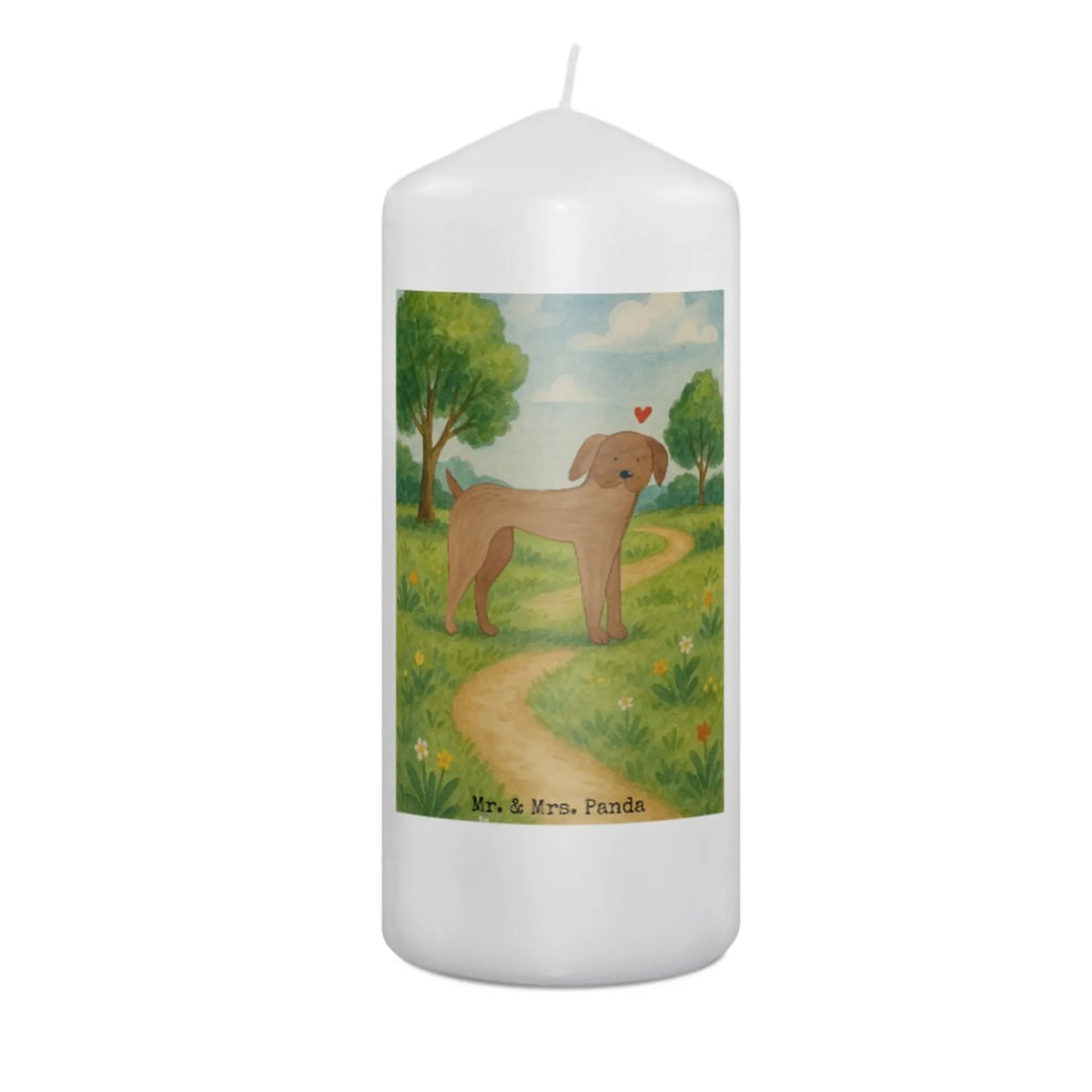 Kerze Hund Dogge Design Grabkerze, Stumpenkerzen-Set, Kerze Für Firmung, Dinnerkerze, Kerze Für Kommunion, Stearin­kerze, Grablicht, Kerze Mit Prägung, Sojawachskerze, Votivkerze, Bio-Kerze, Andachtskerze, Kerze, Gartenkerze, Kerze Mit Spruch, Kerze Mit Fotoeinleger, Kerze Mit Duft, Duftkerze, Tafelkerze, Kerze Für Ostern, Stabkerze, Trauerkerze, Kerze Für Weihnachten, Kerze Mit Gravur, Kerze Ohne Duft, Kerze Für Taufe, Kerze Für Advent, Outdoor-Kerze, Gedenkkerze, Kerze Mit Namensgravur, Handgemachte Kerze, Kerze Für Geburtstag, Blockkerze, Stumpenkerze, Streukerze, Laternenkerze, Kerze Für Hochzeit, Teelicht, Metall-Kerze, Handgegossene Kerze, Dinnerkerzenpaar, Kerze Als Gastgeschenk, Kerze Mit Motiv, Tischkerze, Glas-Kerze, Fair-Trade-Kerze, Hund, Hundemotiv, Haustier, Hunderasse, Tierliebhaber, Hundebesitzer, Sprüche, Great Dane, Deutsche Dogge, Hunde, Dogge