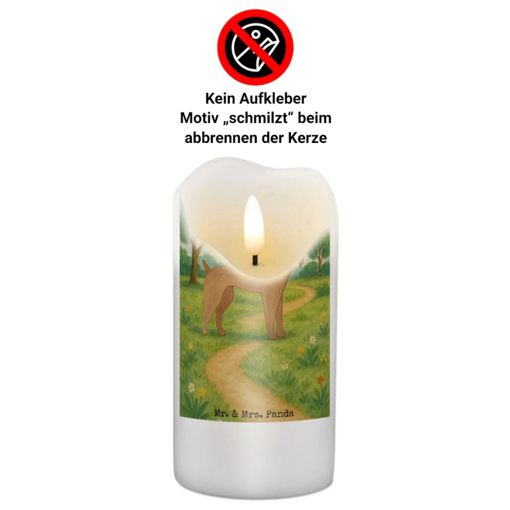 Kerze Hund Dogge Design Grabkerze, Stumpenkerzen-Set, Kerze Für Firmung, Dinnerkerze, Kerze Für Kommunion, Stearin­kerze, Grablicht, Kerze Mit Prägung, Sojawachskerze, Votivkerze, Bio-Kerze, Andachtskerze, Kerze, Gartenkerze, Kerze Mit Spruch, Kerze Mit Fotoeinleger, Kerze Mit Duft, Duftkerze, Tafelkerze, Kerze Für Ostern, Stabkerze, Trauerkerze, Kerze Für Weihnachten, Kerze Mit Gravur, Kerze Ohne Duft, Kerze Für Taufe, Kerze Für Advent, Outdoor-Kerze, Gedenkkerze, Kerze Mit Namensgravur, Handgemachte Kerze, Kerze Für Geburtstag, Blockkerze, Stumpenkerze, Streukerze, Laternenkerze, Kerze Für Hochzeit, Teelicht, Metall-Kerze, Handgegossene Kerze, Dinnerkerzenpaar, Kerze Als Gastgeschenk, Kerze Mit Motiv, Tischkerze, Glas-Kerze, Fair-Trade-Kerze, Hund, Hundemotiv, Haustier, Hunderasse, Tierliebhaber, Hundebesitzer, Sprüche, Great Dane, Deutsche Dogge, Hunde, Dogge