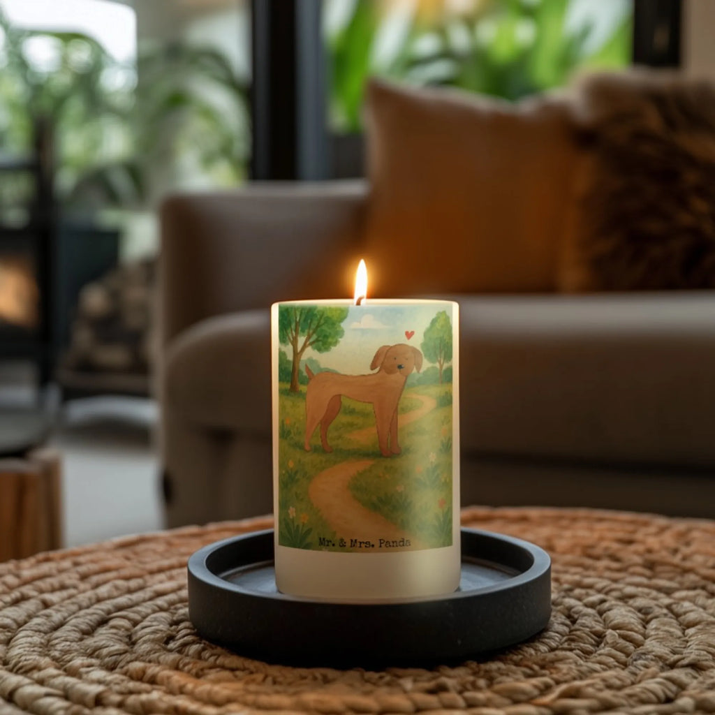 Kerze Hund Dogge Design Grabkerze, Stumpenkerzen-Set, Kerze Für Firmung, Dinnerkerze, Kerze Für Kommunion, Stearin­kerze, Grablicht, Kerze Mit Prägung, Sojawachskerze, Votivkerze, Bio-Kerze, Andachtskerze, Kerze, Gartenkerze, Kerze Mit Spruch, Kerze Mit Fotoeinleger, Kerze Mit Duft, Duftkerze, Tafelkerze, Kerze Für Ostern, Stabkerze, Trauerkerze, Kerze Für Weihnachten, Kerze Mit Gravur, Kerze Ohne Duft, Kerze Für Taufe, Kerze Für Advent, Outdoor-Kerze, Gedenkkerze, Kerze Mit Namensgravur, Handgemachte Kerze, Kerze Für Geburtstag, Blockkerze, Stumpenkerze, Streukerze, Laternenkerze, Kerze Für Hochzeit, Teelicht, Metall-Kerze, Handgegossene Kerze, Dinnerkerzenpaar, Kerze Als Gastgeschenk, Kerze Mit Motiv, Tischkerze, Glas-Kerze, Fair-Trade-Kerze, Hund, Hundemotiv, Haustier, Hunderasse, Tierliebhaber, Hundebesitzer, Sprüche, Great Dane, Deutsche Dogge, Hunde, Dogge