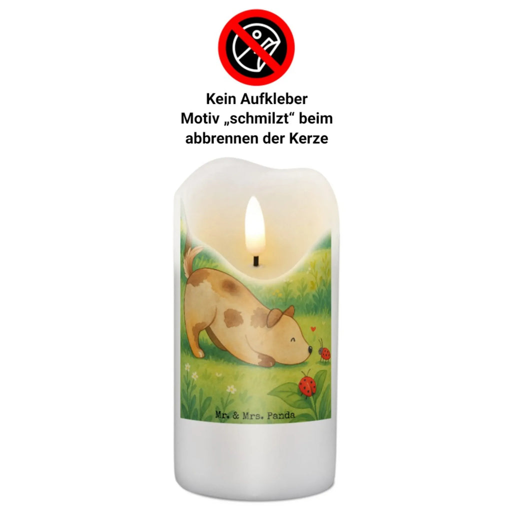 Kerze Hund Marienkäfer Design Kerze Für Advent, Kerze Mit Motiv, Kerze Für Hochzeit, Kerze Mit Gravur, Kerze Für Firmung, Stumpenkerze, Metall-Kerze, Handgemachte Kerze, Andachtskerze, Kerze Für Kommunion, Dinnerkerze, Kerze Mit Prägung, Kerze Für Taufe, Dinnerkerzenpaar, Grabkerze, Fair-Trade-Kerze, Teelicht, Kerze Für Geburtstag, Tischkerze, Outdoor-Kerze, Kerze Mit Duft, Stabkerze, Kerze Für Weihnachten, Stumpenkerzen-Set, Duftkerze, Trauerkerze, Glas-Kerze, Bio-Kerze, Gartenkerze, Kerze, Kerze Ohne Duft, Blockkerze, Votivkerze, Kerze Mit Namensgravur, Kerze Als Gastgeschenk, Grablicht, Kerze Mit Spruch, Laternenkerze, Tafelkerze, Kerze Für Ostern, Sojawachskerze, Kerze Mit Fotoeinleger, Gedenkkerze, Streukerze, Stearin­kerze, Handgegossene Kerze, Hund, Hundemotiv, Haustier, Hunderasse, Tierliebhaber, Hundebesitzer, Sprüche, Mischlinghund, Hunde, Mischling, Marienkäfer, Hundespruch