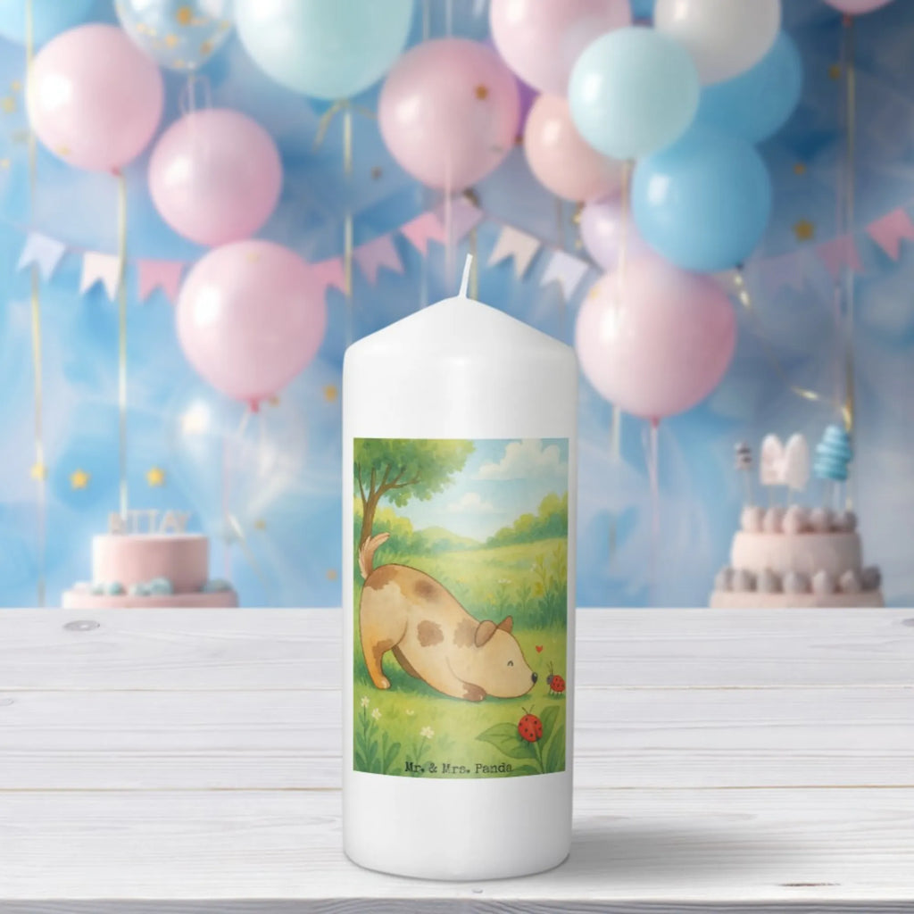 Kerze Hund Marienkäfer Design Kerze Für Advent, Kerze Mit Motiv, Kerze Für Hochzeit, Kerze Mit Gravur, Kerze Für Firmung, Stumpenkerze, Metall-Kerze, Handgemachte Kerze, Andachtskerze, Kerze Für Kommunion, Dinnerkerze, Kerze Mit Prägung, Kerze Für Taufe, Dinnerkerzenpaar, Grabkerze, Fair-Trade-Kerze, Teelicht, Kerze Für Geburtstag, Tischkerze, Outdoor-Kerze, Kerze Mit Duft, Stabkerze, Kerze Für Weihnachten, Stumpenkerzen-Set, Duftkerze, Trauerkerze, Glas-Kerze, Bio-Kerze, Gartenkerze, Kerze, Kerze Ohne Duft, Blockkerze, Votivkerze, Kerze Mit Namensgravur, Kerze Als Gastgeschenk, Grablicht, Kerze Mit Spruch, Laternenkerze, Tafelkerze, Kerze Für Ostern, Sojawachskerze, Kerze Mit Fotoeinleger, Gedenkkerze, Streukerze, Stearin­kerze, Handgegossene Kerze, Hund, Hundemotiv, Haustier, Hunderasse, Tierliebhaber, Hundebesitzer, Sprüche, Mischlinghund, Hunde, Mischling, Marienkäfer, Hundespruch