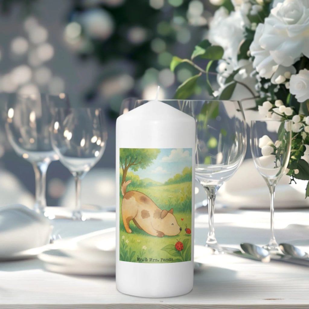 Kerze Hund Marienkäfer Design Kerze Für Advent, Kerze Mit Motiv, Kerze Für Hochzeit, Kerze Mit Gravur, Kerze Für Firmung, Stumpenkerze, Metall-Kerze, Handgemachte Kerze, Andachtskerze, Kerze Für Kommunion, Dinnerkerze, Kerze Mit Prägung, Kerze Für Taufe, Dinnerkerzenpaar, Grabkerze, Fair-Trade-Kerze, Teelicht, Kerze Für Geburtstag, Tischkerze, Outdoor-Kerze, Kerze Mit Duft, Stabkerze, Kerze Für Weihnachten, Stumpenkerzen-Set, Duftkerze, Trauerkerze, Glas-Kerze, Bio-Kerze, Gartenkerze, Kerze, Kerze Ohne Duft, Blockkerze, Votivkerze, Kerze Mit Namensgravur, Kerze Als Gastgeschenk, Grablicht, Kerze Mit Spruch, Laternenkerze, Tafelkerze, Kerze Für Ostern, Sojawachskerze, Kerze Mit Fotoeinleger, Gedenkkerze, Streukerze, Stearin­kerze, Handgegossene Kerze, Hund, Hundemotiv, Haustier, Hunderasse, Tierliebhaber, Hundebesitzer, Sprüche, Mischlinghund, Hunde, Mischling, Marienkäfer, Hundespruch