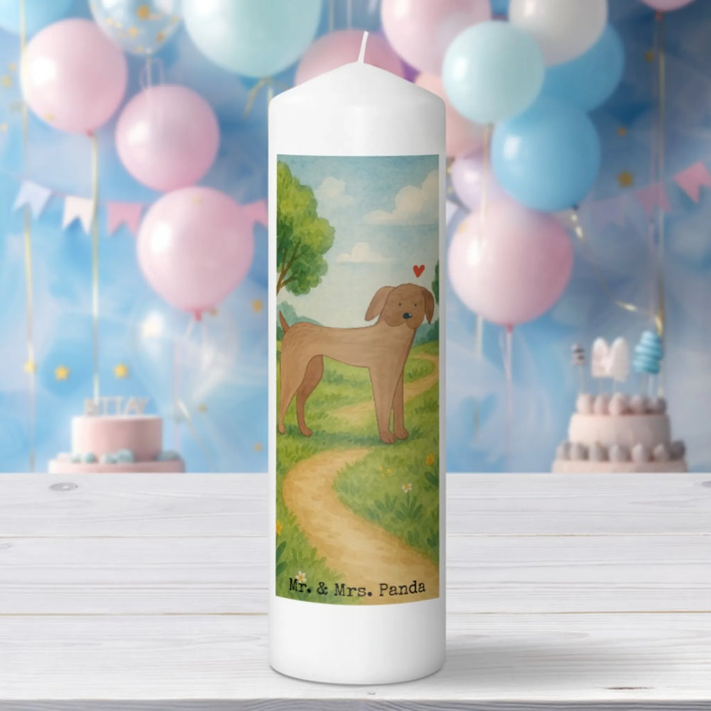 Kerze Hund Dogge Design Grabkerze, Stumpenkerzen-Set, Kerze Für Firmung, Dinnerkerze, Kerze Für Kommunion, Stearin­kerze, Grablicht, Kerze Mit Prägung, Sojawachskerze, Votivkerze, Bio-Kerze, Andachtskerze, Kerze, Gartenkerze, Kerze Mit Spruch, Kerze Mit Fotoeinleger, Kerze Mit Duft, Duftkerze, Tafelkerze, Kerze Für Ostern, Stabkerze, Trauerkerze, Kerze Für Weihnachten, Kerze Mit Gravur, Kerze Ohne Duft, Kerze Für Taufe, Kerze Für Advent, Outdoor-Kerze, Gedenkkerze, Kerze Mit Namensgravur, Handgemachte Kerze, Kerze Für Geburtstag, Blockkerze, Stumpenkerze, Streukerze, Laternenkerze, Kerze Für Hochzeit, Teelicht, Metall-Kerze, Handgegossene Kerze, Dinnerkerzenpaar, Kerze Als Gastgeschenk, Kerze Mit Motiv, Tischkerze, Glas-Kerze, Fair-Trade-Kerze, Hund, Hundemotiv, Haustier, Hunderasse, Tierliebhaber, Hundebesitzer, Sprüche, Great Dane, Deutsche Dogge, Hunde, Dogge