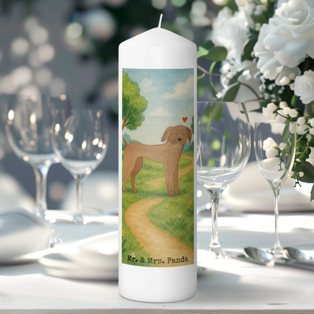 Kerze Hund Dogge Design Grabkerze, Stumpenkerzen-Set, Kerze Für Firmung, Dinnerkerze, Kerze Für Kommunion, Stearin­kerze, Grablicht, Kerze Mit Prägung, Sojawachskerze, Votivkerze, Bio-Kerze, Andachtskerze, Kerze, Gartenkerze, Kerze Mit Spruch, Kerze Mit Fotoeinleger, Kerze Mit Duft, Duftkerze, Tafelkerze, Kerze Für Ostern, Stabkerze, Trauerkerze, Kerze Für Weihnachten, Kerze Mit Gravur, Kerze Ohne Duft, Kerze Für Taufe, Kerze Für Advent, Outdoor-Kerze, Gedenkkerze, Kerze Mit Namensgravur, Handgemachte Kerze, Kerze Für Geburtstag, Blockkerze, Stumpenkerze, Streukerze, Laternenkerze, Kerze Für Hochzeit, Teelicht, Metall-Kerze, Handgegossene Kerze, Dinnerkerzenpaar, Kerze Als Gastgeschenk, Kerze Mit Motiv, Tischkerze, Glas-Kerze, Fair-Trade-Kerze, Hund, Hundemotiv, Haustier, Hunderasse, Tierliebhaber, Hundebesitzer, Sprüche, Great Dane, Deutsche Dogge, Hunde, Dogge