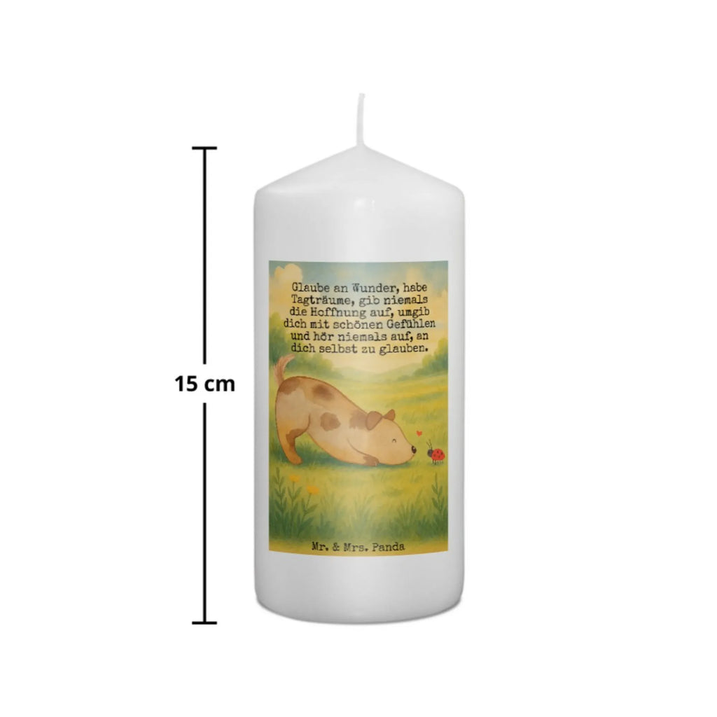 Kerze Hund Marienkäfer Design Kerze Für Advent, Kerze Mit Motiv, Kerze Für Hochzeit, Kerze Mit Gravur, Kerze Für Firmung, Stumpenkerze, Metall-Kerze, Handgemachte Kerze, Andachtskerze, Kerze Für Kommunion, Dinnerkerze, Kerze Mit Prägung, Kerze Für Taufe, Dinnerkerzenpaar, Grabkerze, Fair-Trade-Kerze, Teelicht, Kerze Für Geburtstag, Tischkerze, Outdoor-Kerze, Kerze Mit Duft, Stabkerze, Kerze Für Weihnachten, Stumpenkerzen-Set, Duftkerze, Trauerkerze, Glas-Kerze, Bio-Kerze, Gartenkerze, Kerze, Kerze Ohne Duft, Blockkerze, Votivkerze, Kerze Mit Namensgravur, Kerze Als Gastgeschenk, Grablicht, Kerze Mit Spruch, Laternenkerze, Tafelkerze, Kerze Für Ostern, Sojawachskerze, Kerze Mit Fotoeinleger, Gedenkkerze, Streukerze, Stearin­kerze, Handgegossene Kerze, Hund, Hundemotiv, Haustier, Hunderasse, Tierliebhaber, Hundebesitzer, Sprüche, Mischlinghund, Hunde, Mischling, Marienkäfer, Hundespruch