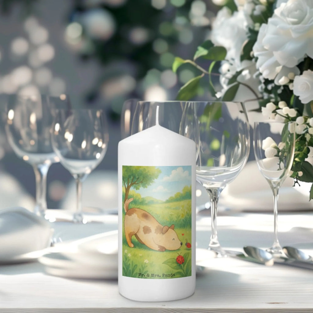 Kerze Hund Marienkäfer Design Kerze Für Advent, Kerze Mit Motiv, Kerze Für Hochzeit, Kerze Mit Gravur, Kerze Für Firmung, Stumpenkerze, Metall-Kerze, Handgemachte Kerze, Andachtskerze, Kerze Für Kommunion, Dinnerkerze, Kerze Mit Prägung, Kerze Für Taufe, Dinnerkerzenpaar, Grabkerze, Fair-Trade-Kerze, Teelicht, Kerze Für Geburtstag, Tischkerze, Outdoor-Kerze, Kerze Mit Duft, Stabkerze, Kerze Für Weihnachten, Stumpenkerzen-Set, Duftkerze, Trauerkerze, Glas-Kerze, Bio-Kerze, Gartenkerze, Kerze, Kerze Ohne Duft, Blockkerze, Votivkerze, Kerze Mit Namensgravur, Kerze Als Gastgeschenk, Grablicht, Kerze Mit Spruch, Laternenkerze, Tafelkerze, Kerze Für Ostern, Sojawachskerze, Kerze Mit Fotoeinleger, Gedenkkerze, Streukerze, Stearin­kerze, Handgegossene Kerze, Hund, Hundemotiv, Haustier, Hunderasse, Tierliebhaber, Hundebesitzer, Sprüche, Mischlinghund, Hunde, Mischling, Marienkäfer, Hundespruch